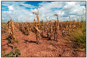 Hydrology 11 00148 i001