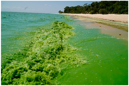 Hydrology 11 00148 i008