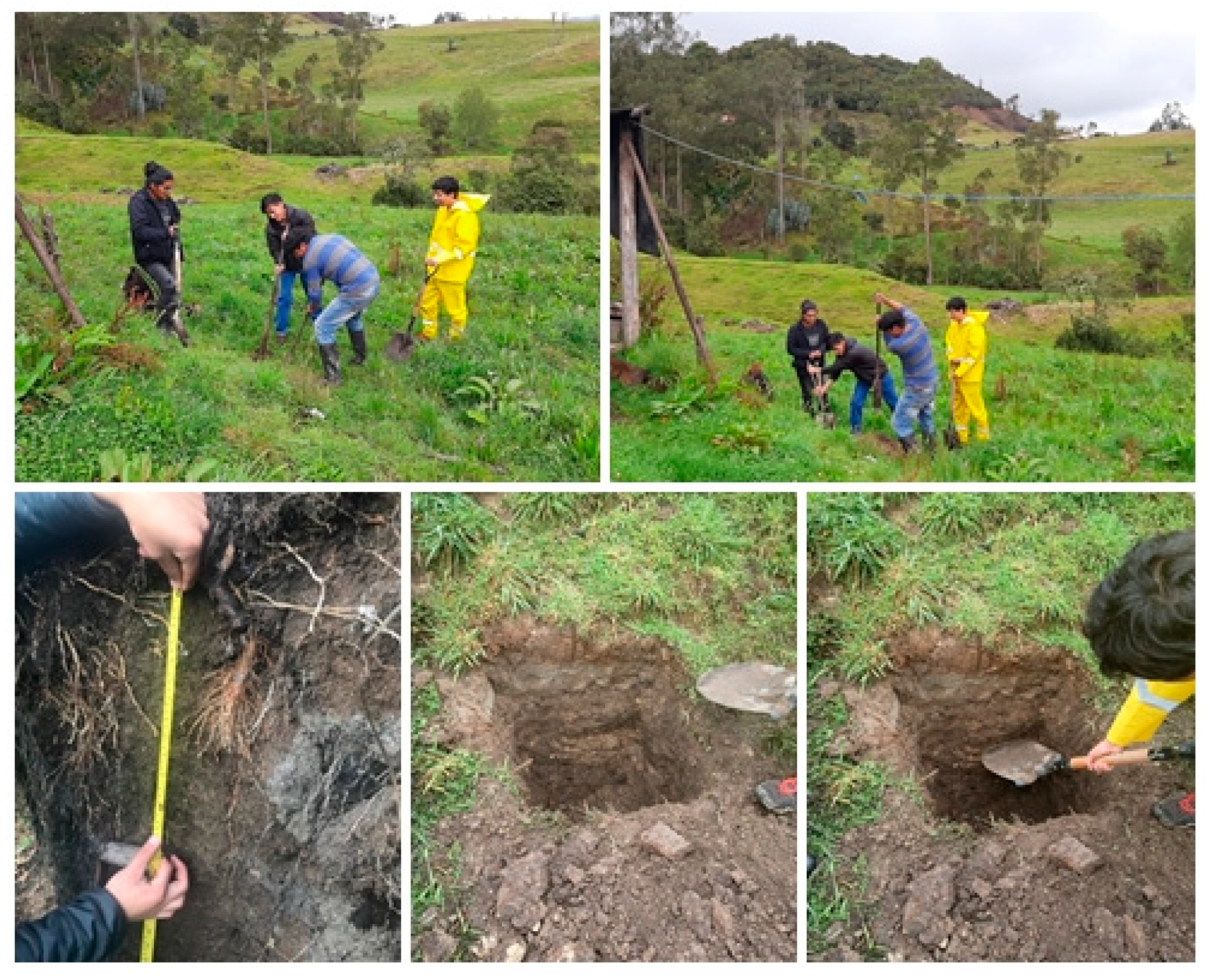 Hydrology 11 00157 g003