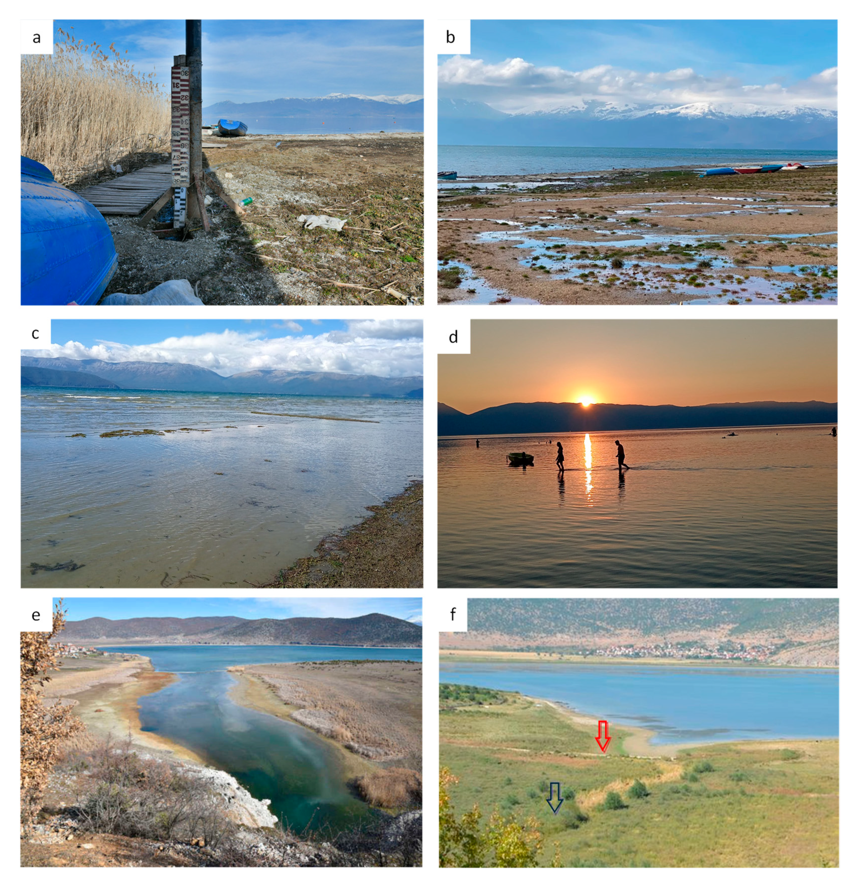 Hydrology 11 00199 g002