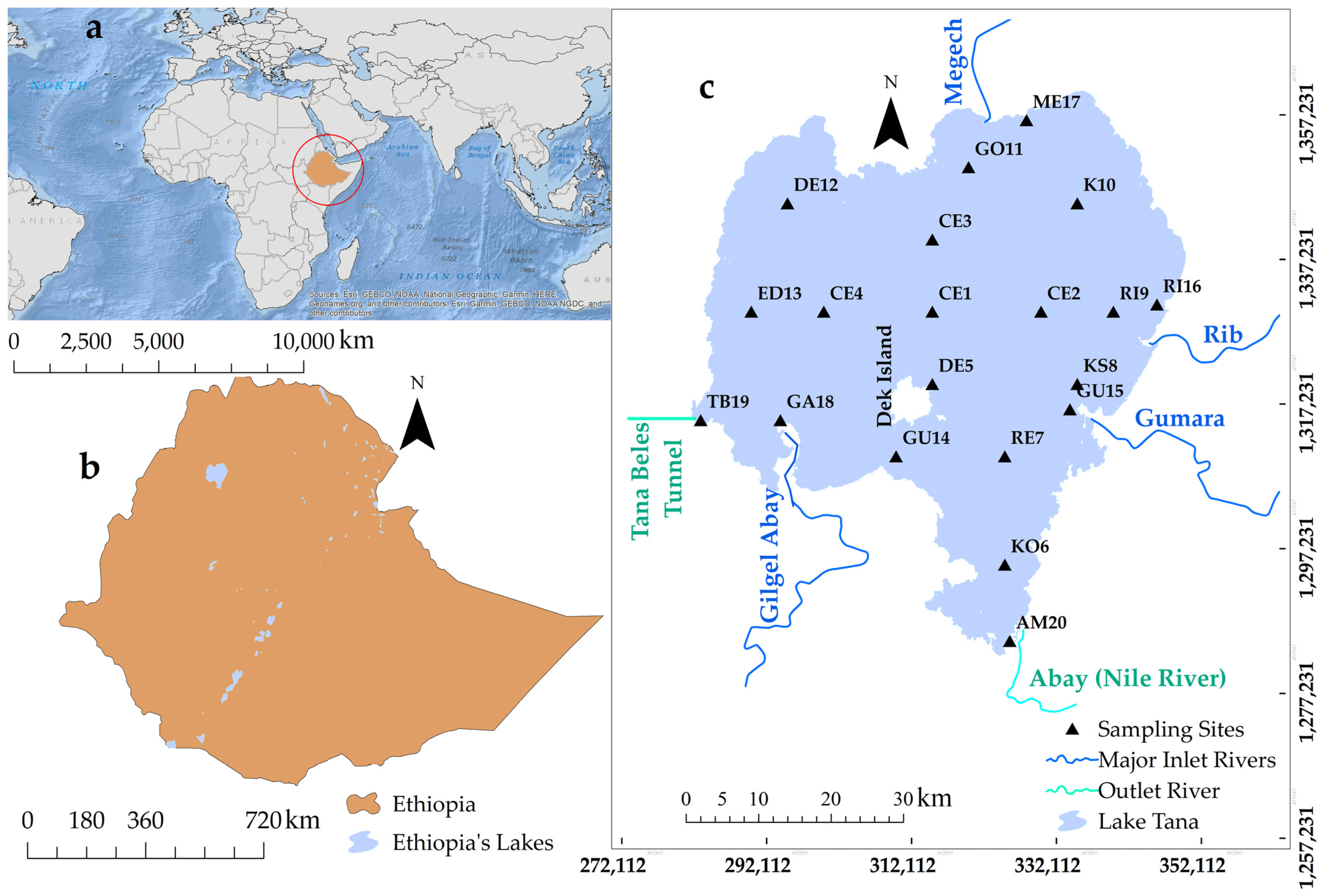 Hydrology 11 00212 g001