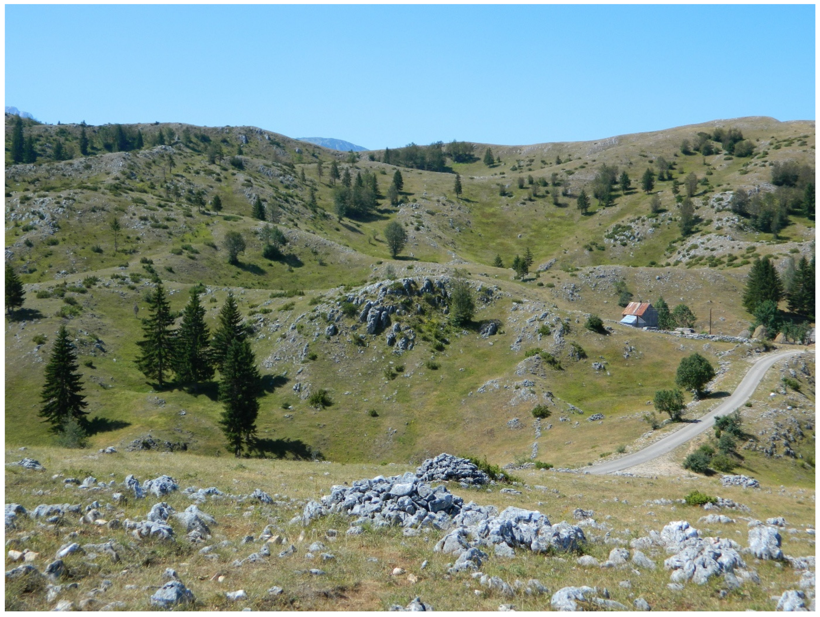 Hydrology 12 00012 g001