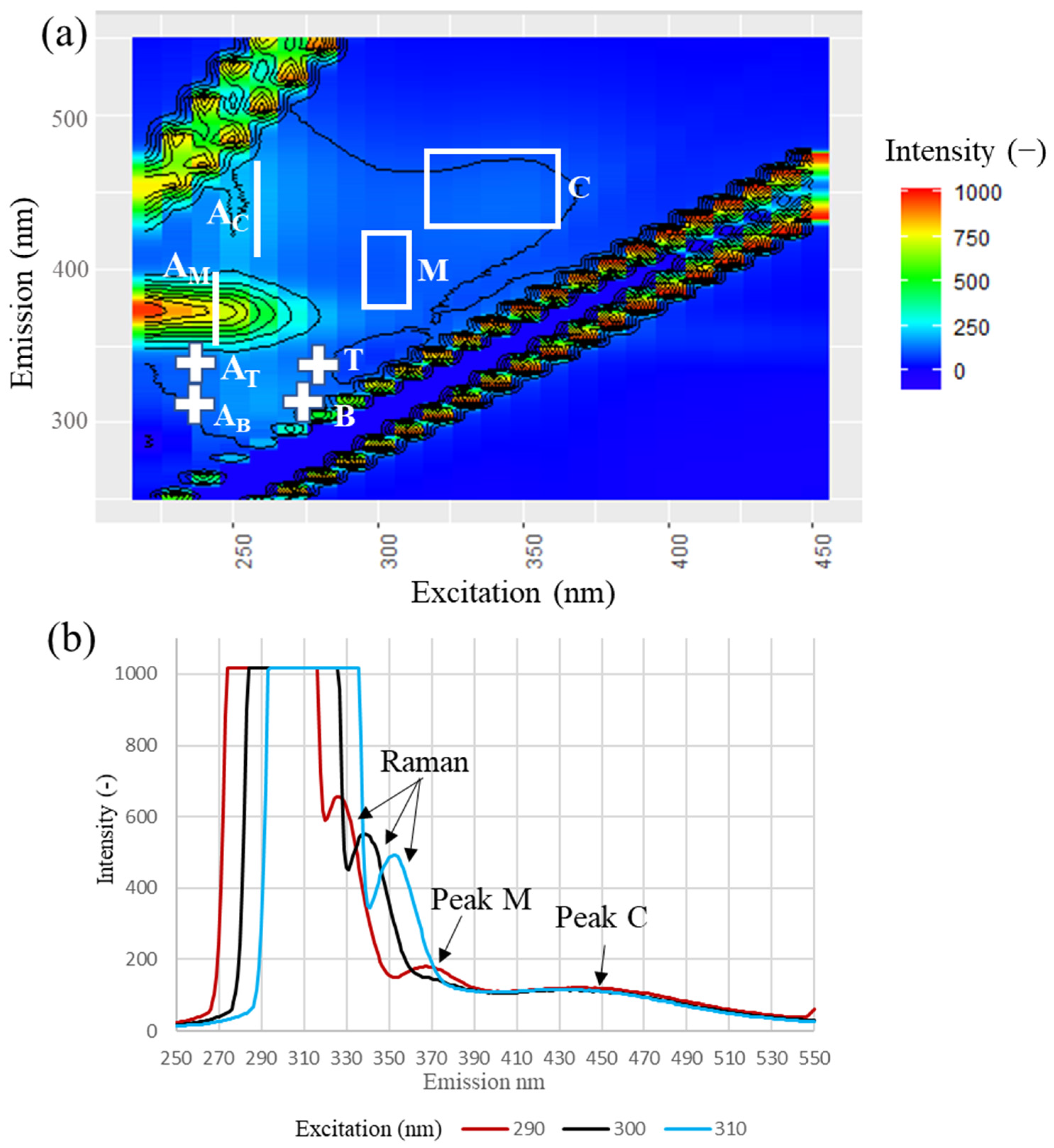 Hydrology 12 00024 g003