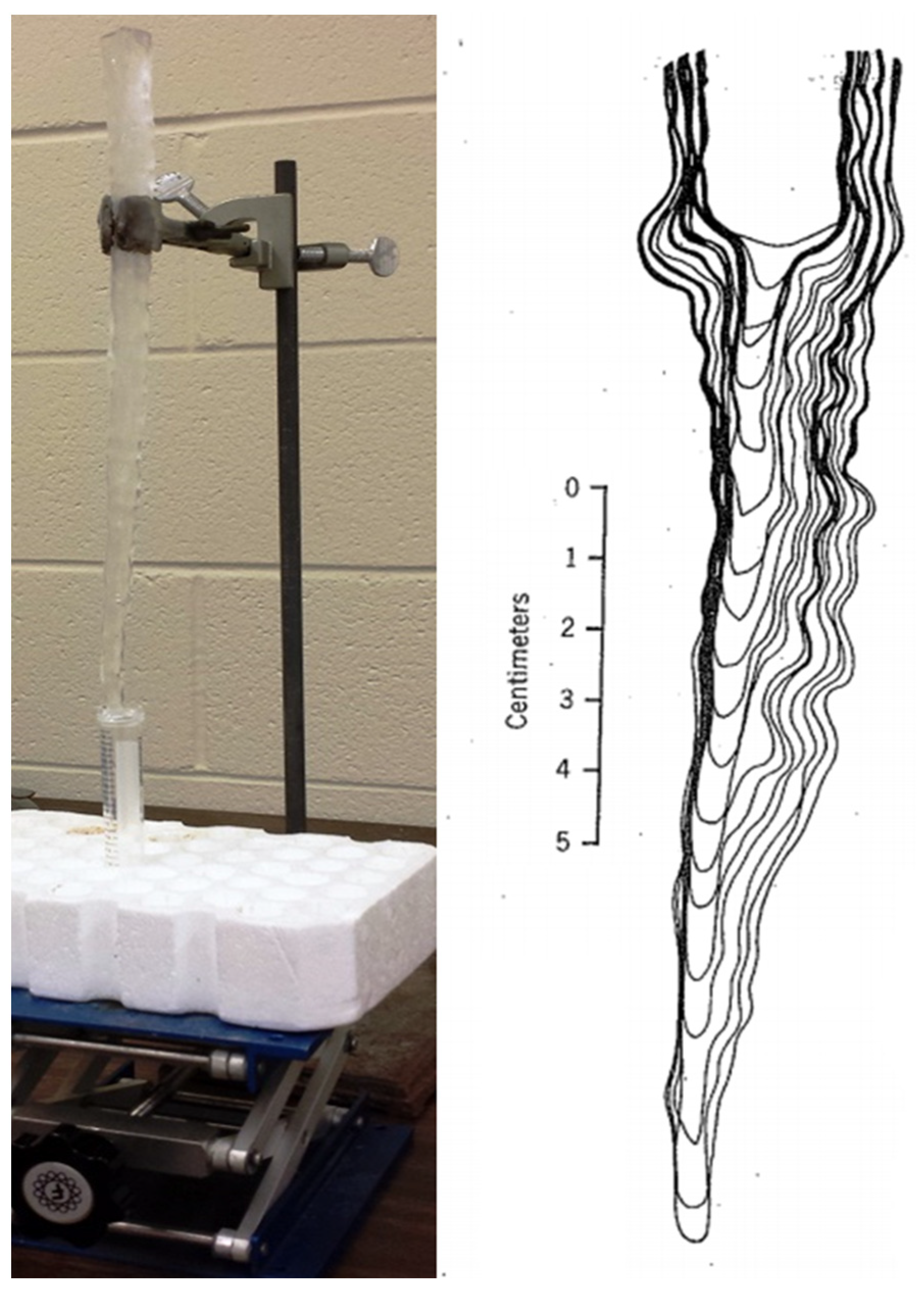 Hydrology 12 00030 g004