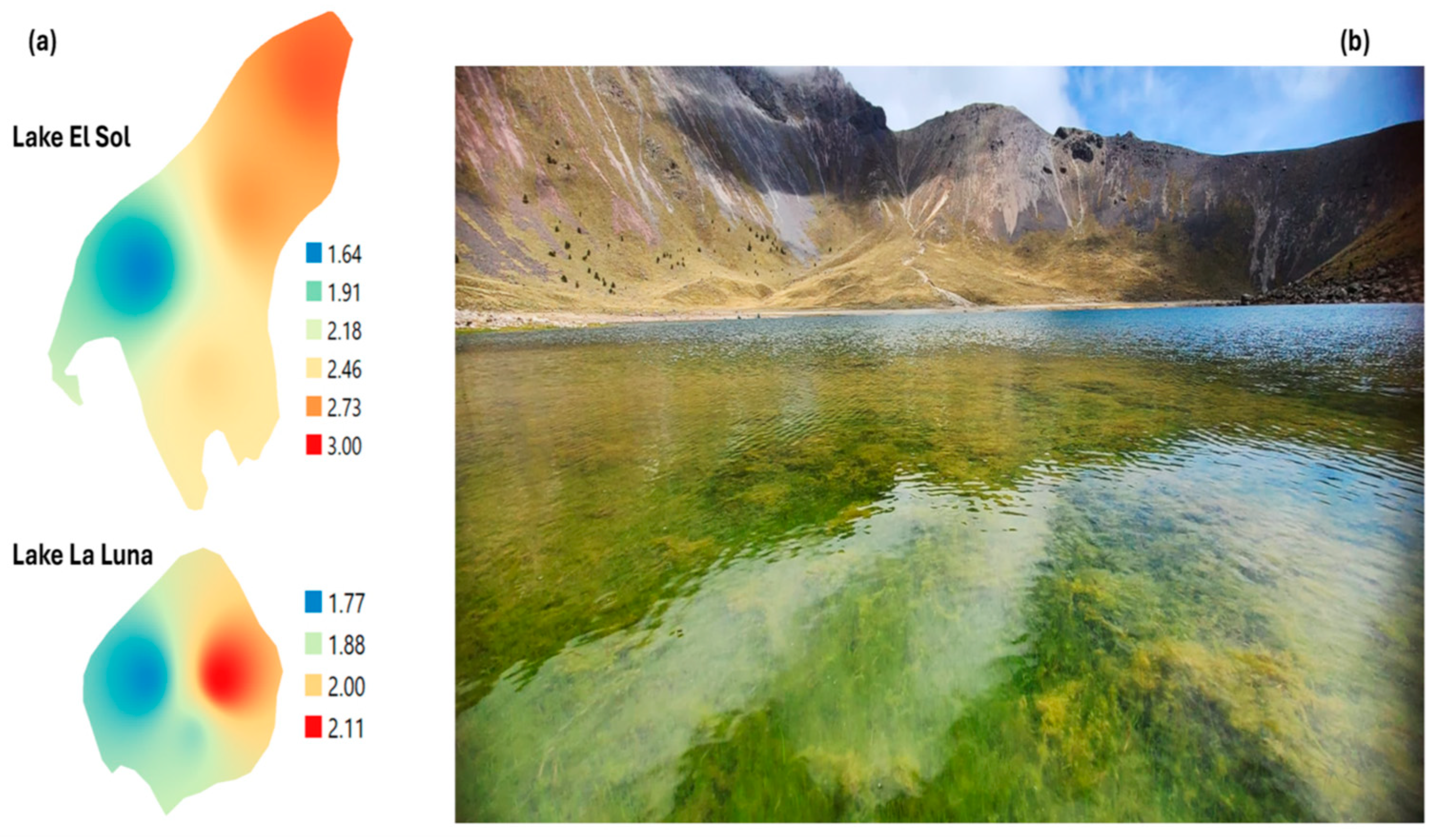 Hydrology 12 00032 g006