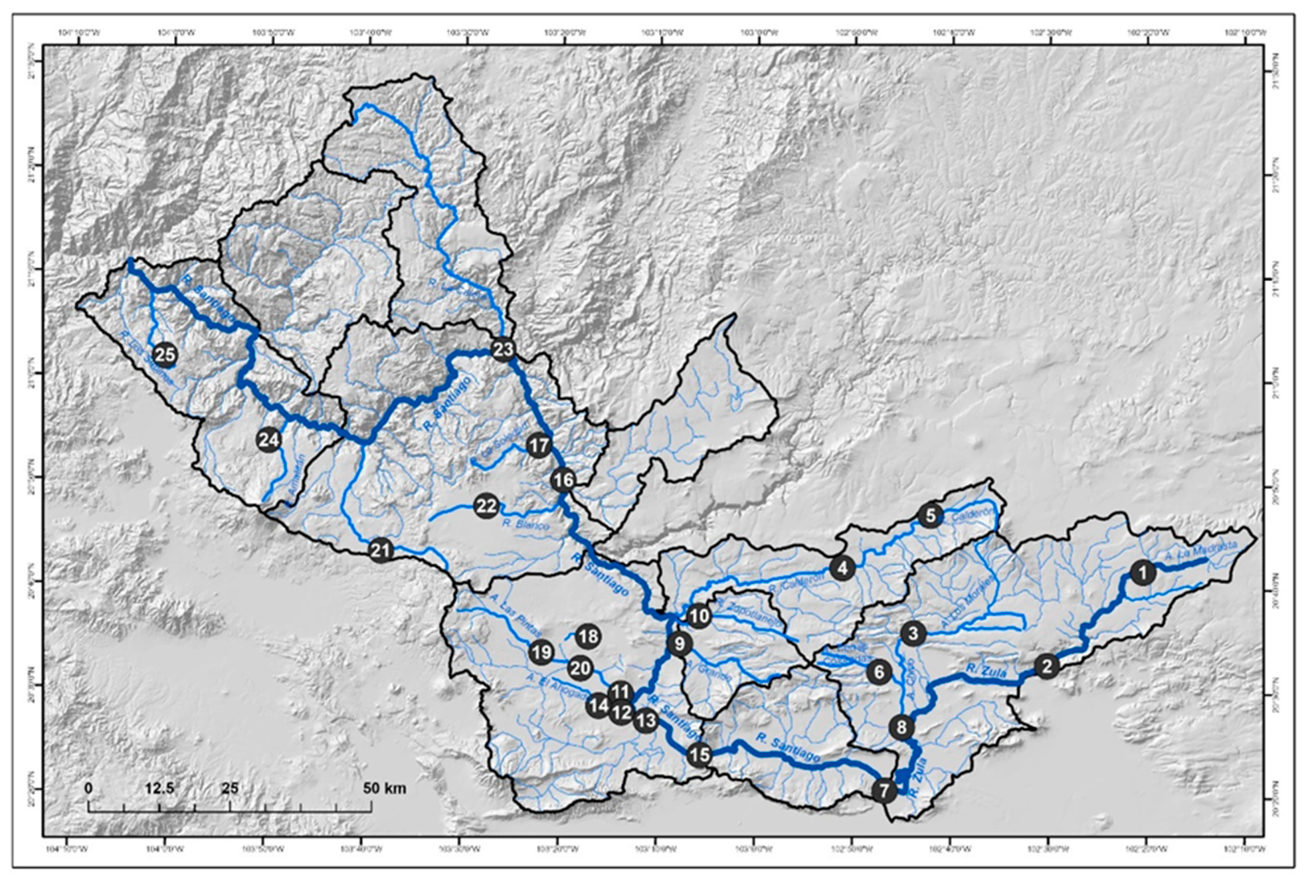 Hydrology 12 00037 g005