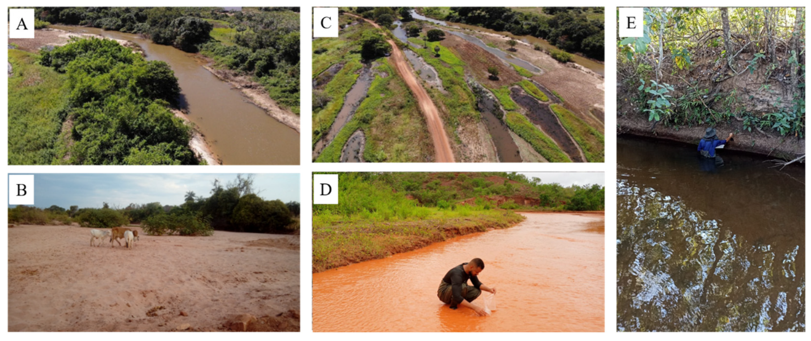 Hydrology 12 00045 g002