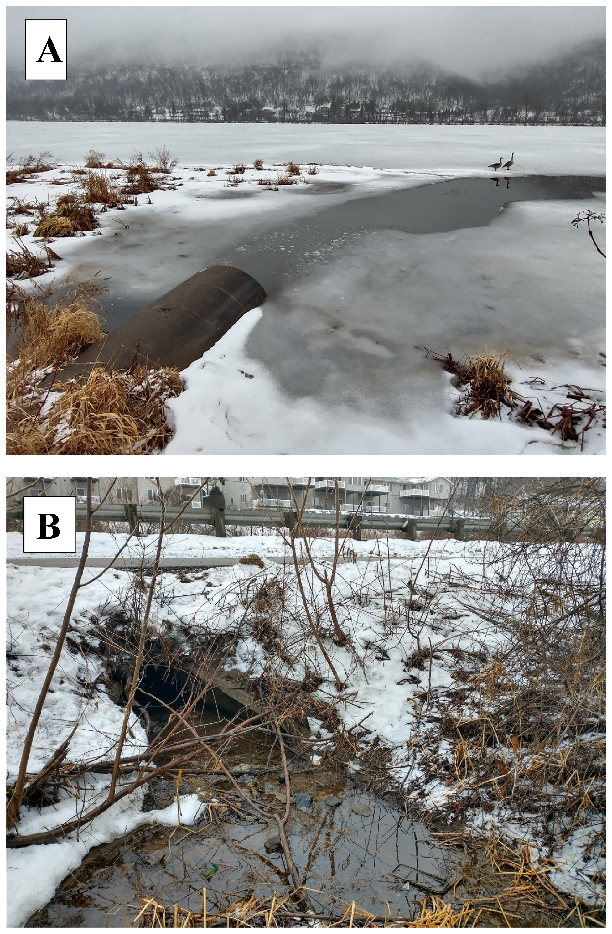 Hydrology 12 00076 g002