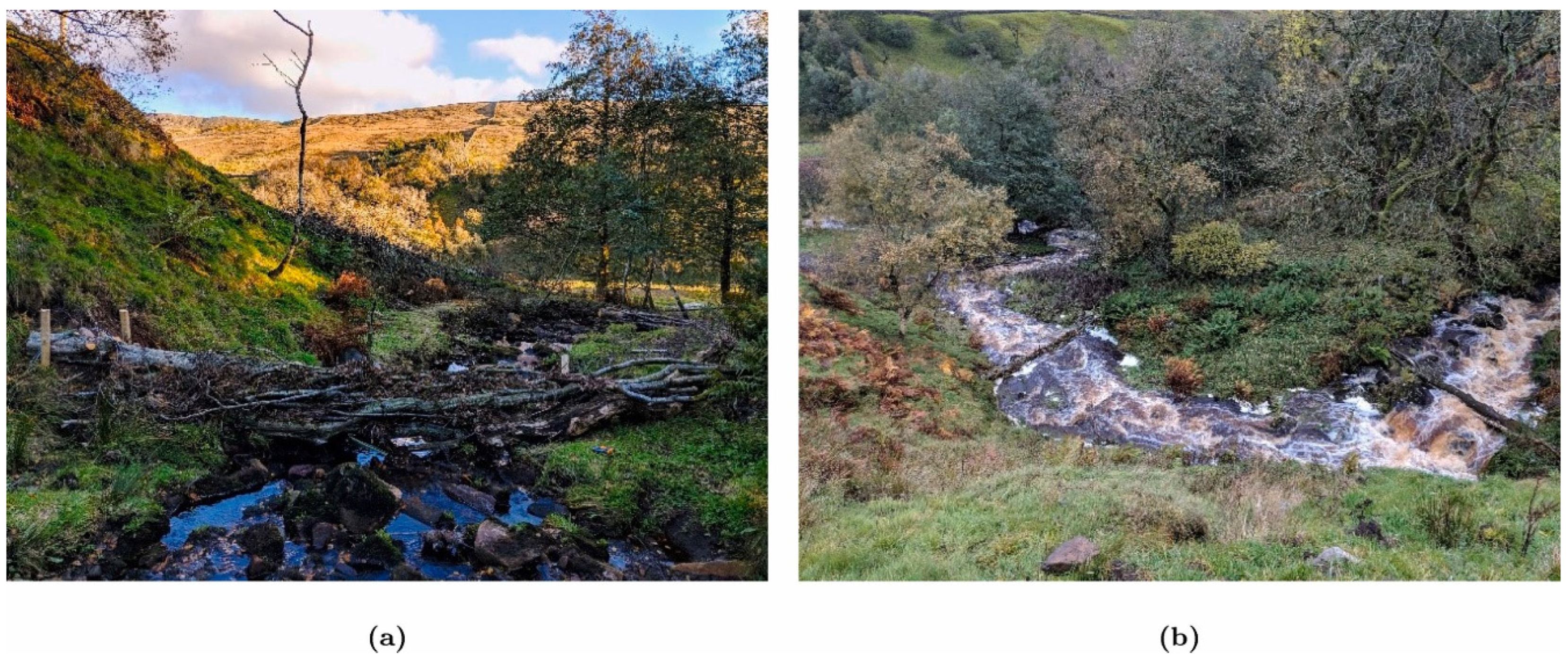 Hydrology 12 00095 g001