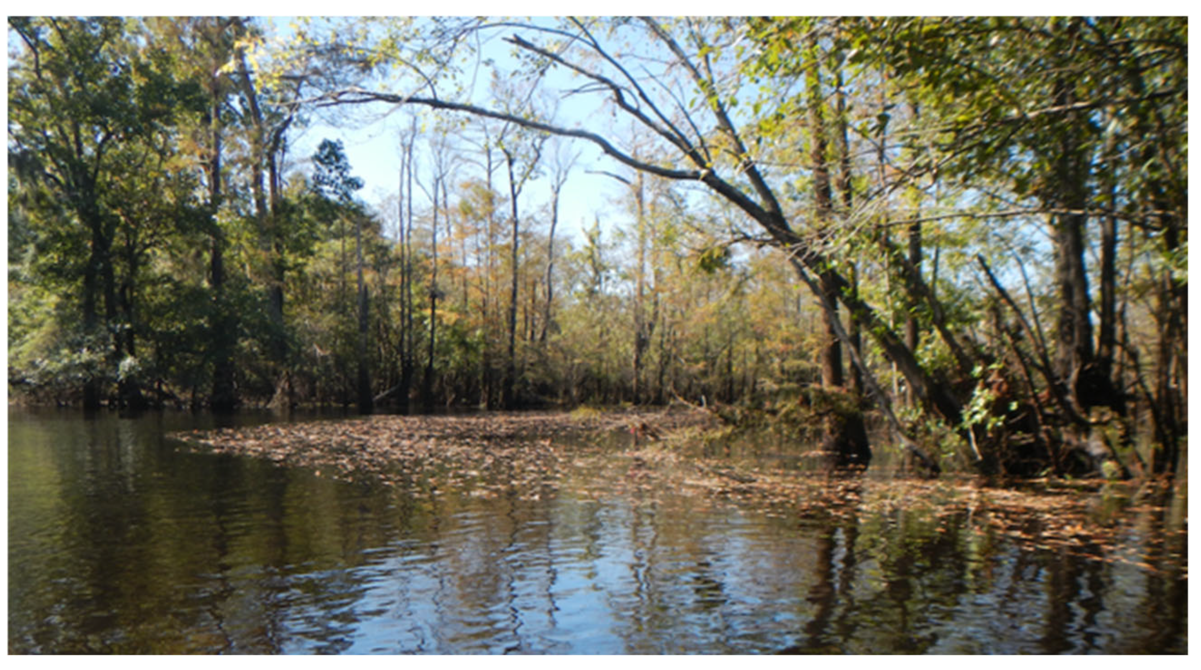 Hydrology 12 00101 g011