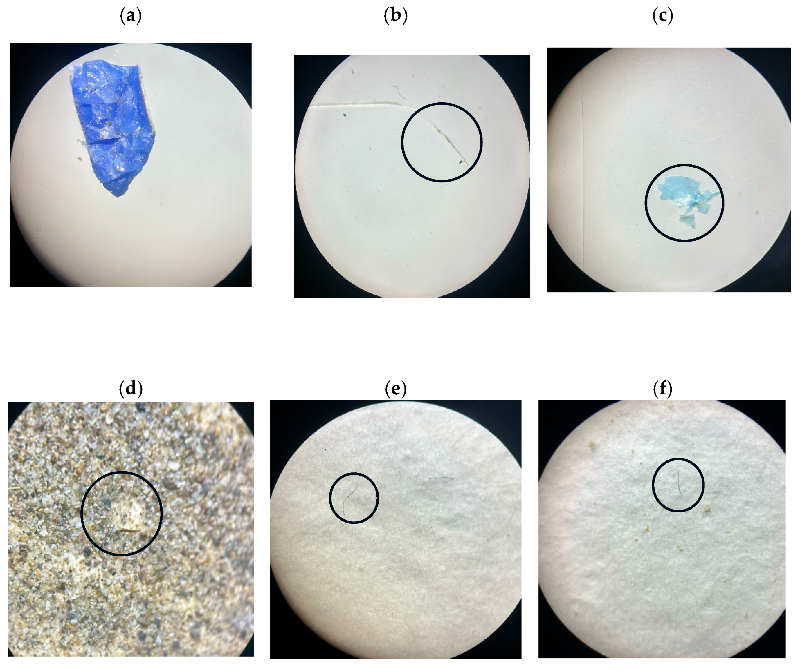 Hydrology 12 00124 g005