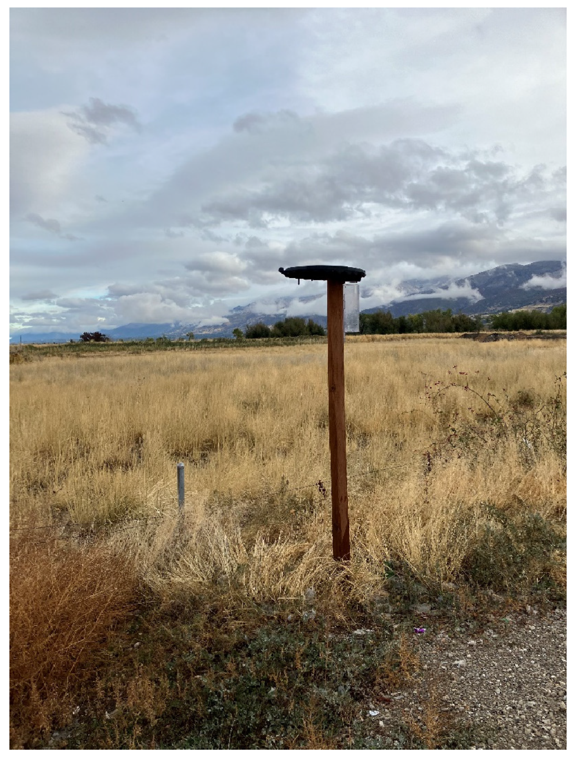 Hydrology 12 00131 g002