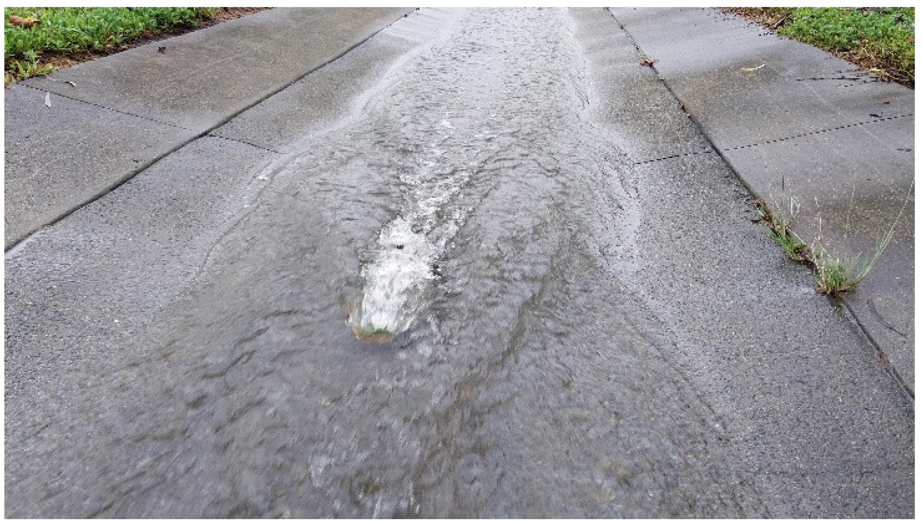 Hydrology 12 00151 g005