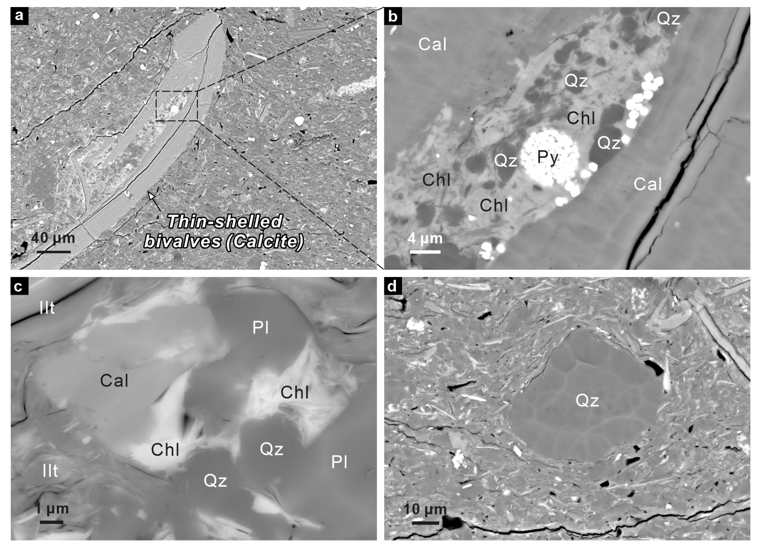 Hydrology 12 00179 g003