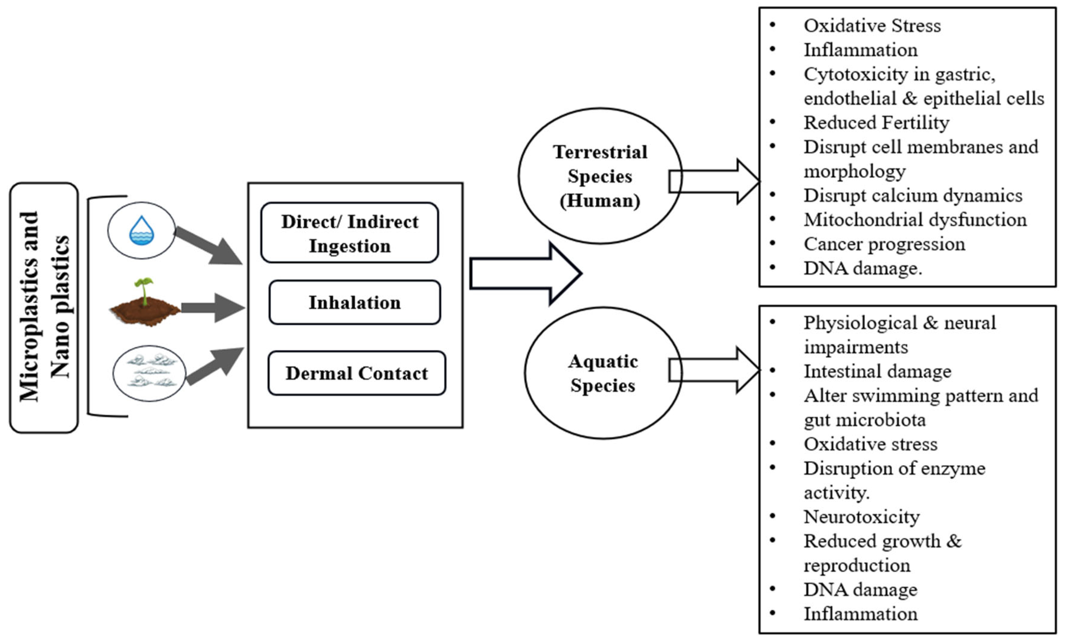 Hydrology 12 00265 g010 Hydrology 12 00265 g010