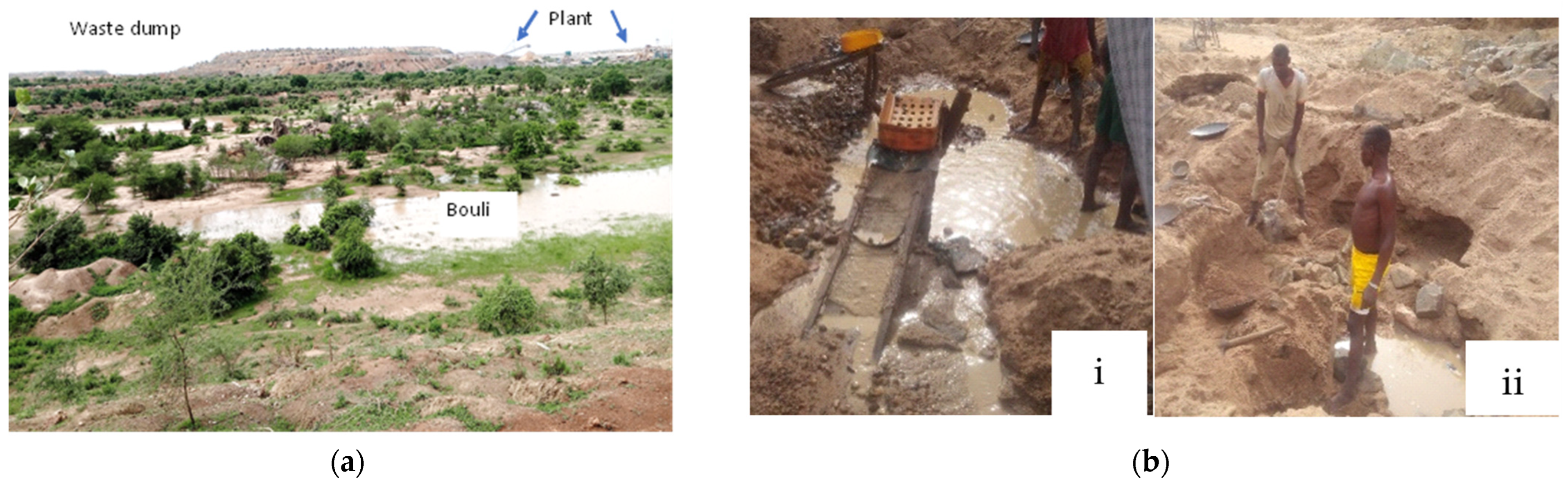 Hydrology 12 00290 g007