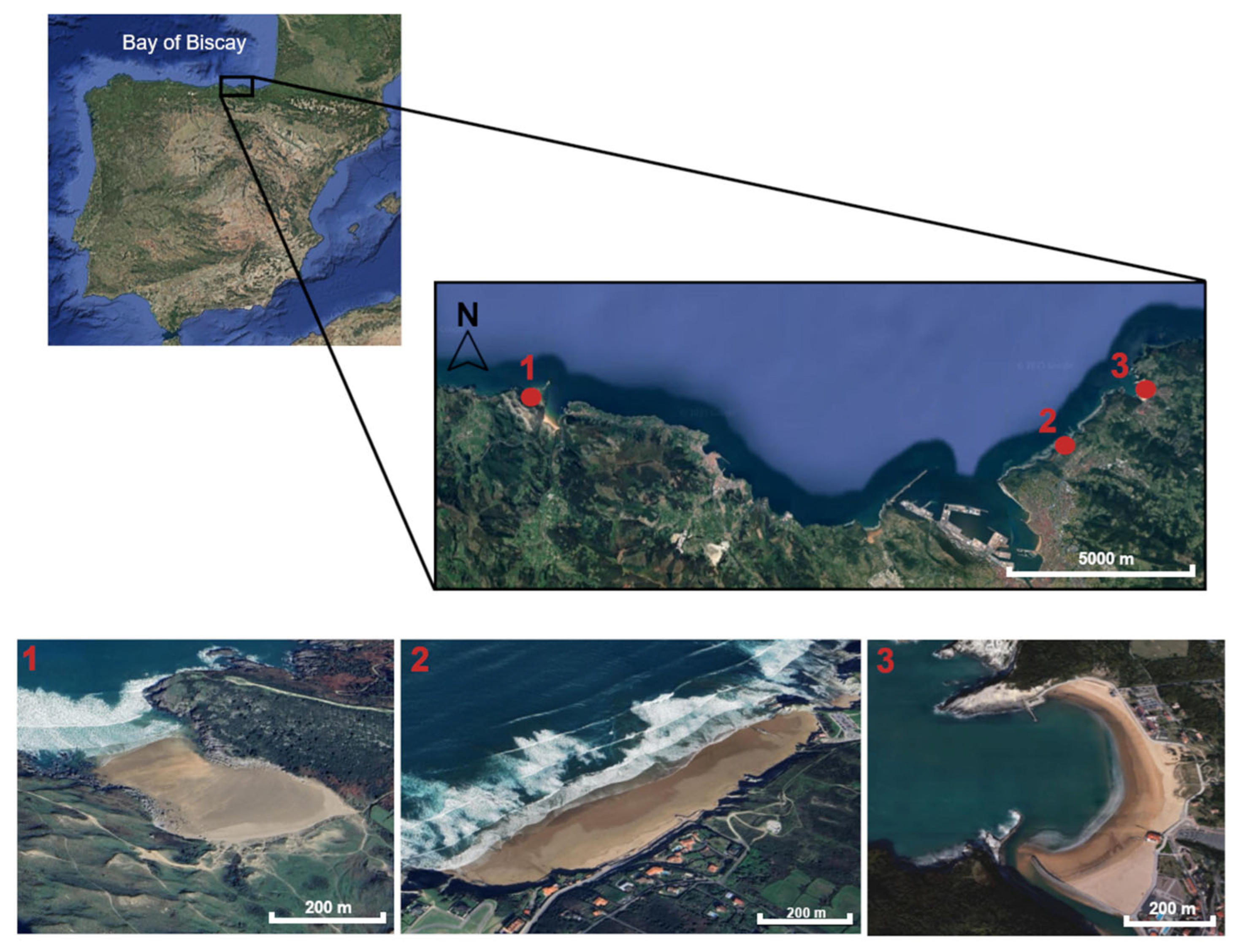 Hydrology 12 00298 g001