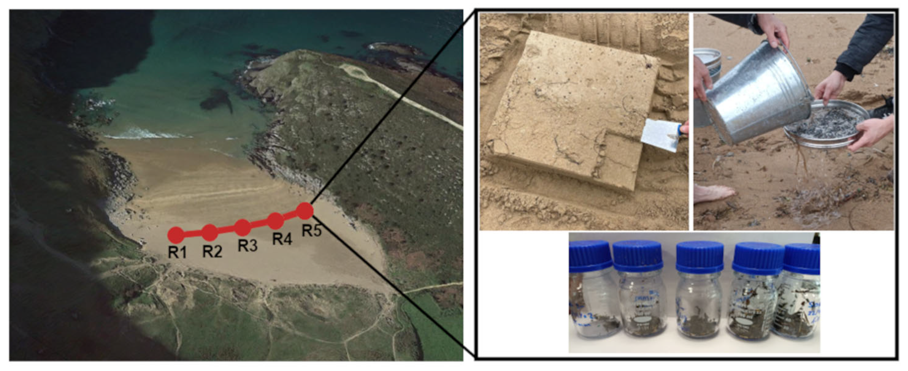 Hydrology 12 00298 g002