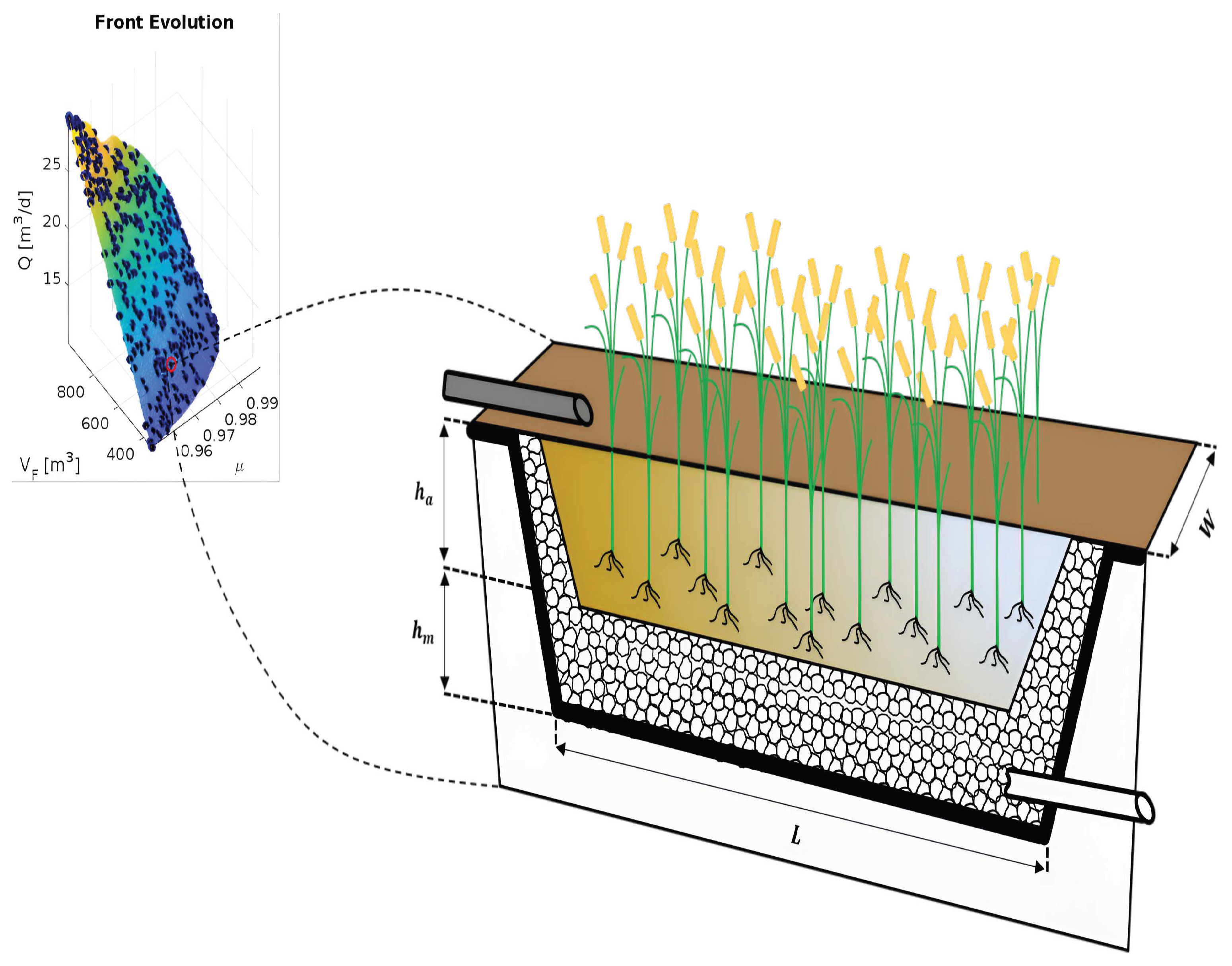Hydrology 12 00303 g004