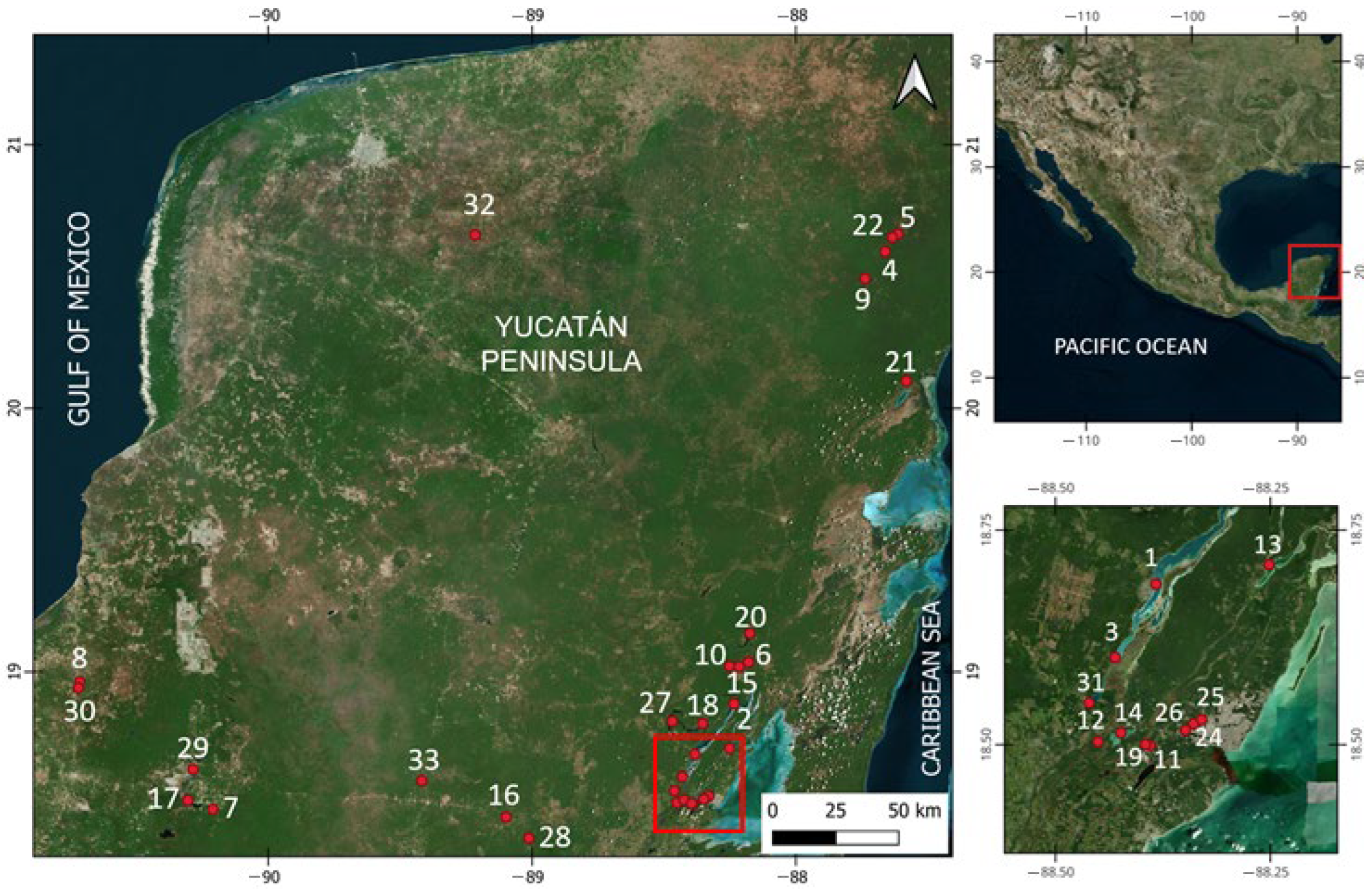Hydrology 13 00006 g001