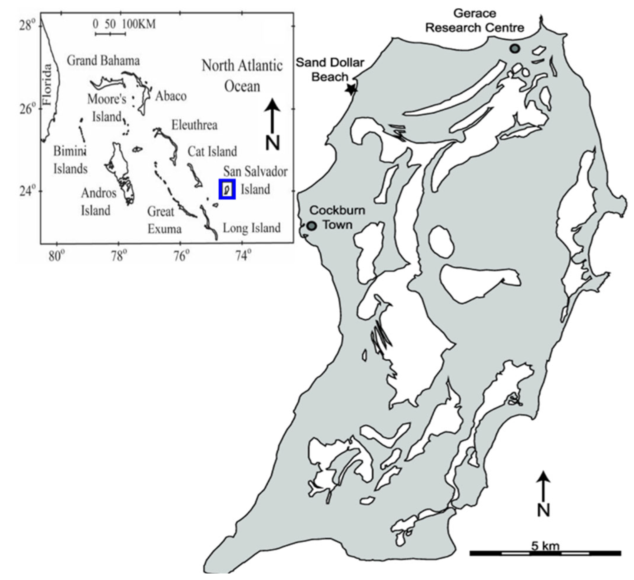 Hydrology 13 00136 g002
