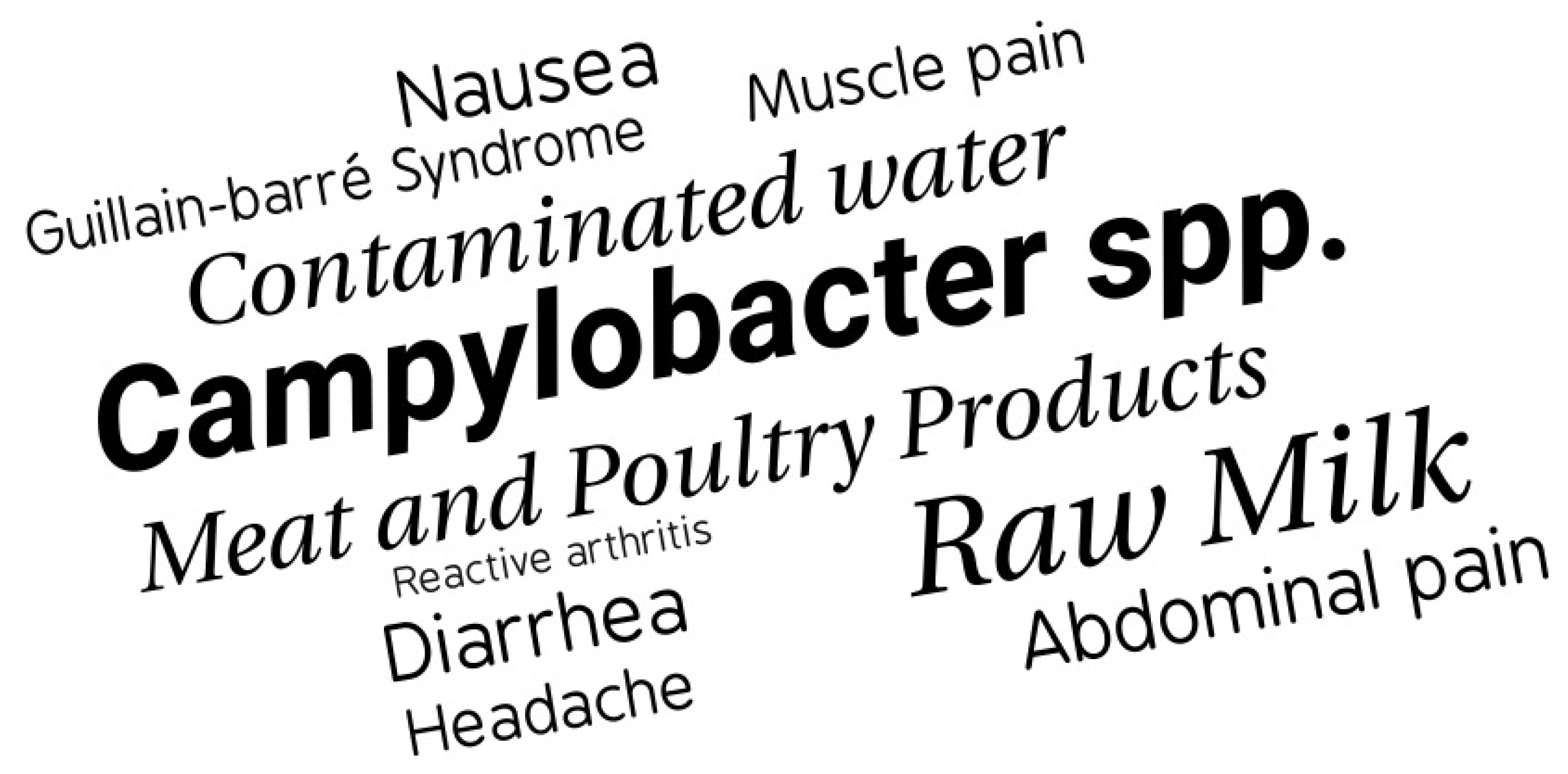 Hygiene 01 00010 g004