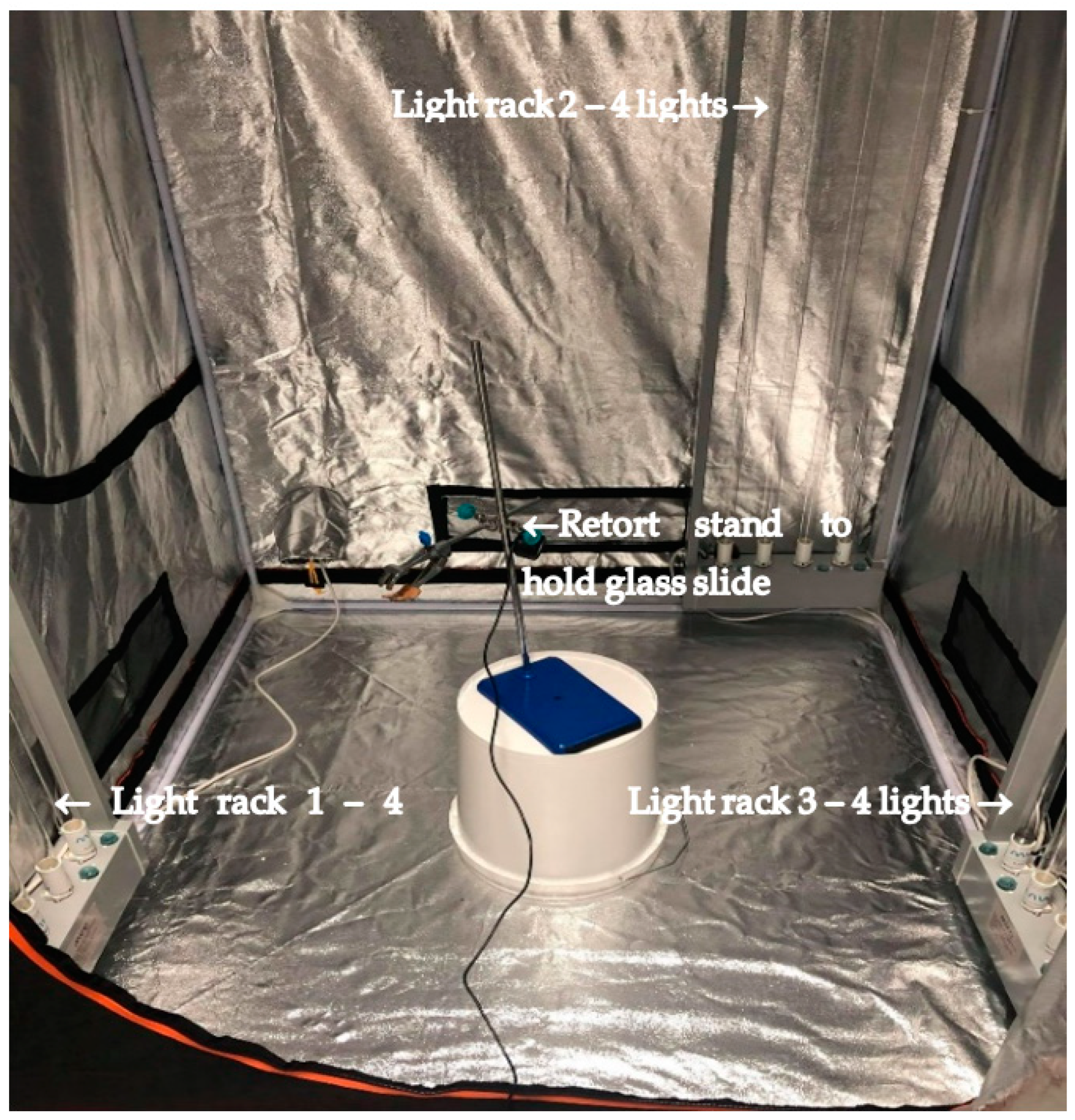 Using UV Light to Kill Bacteria and Mold