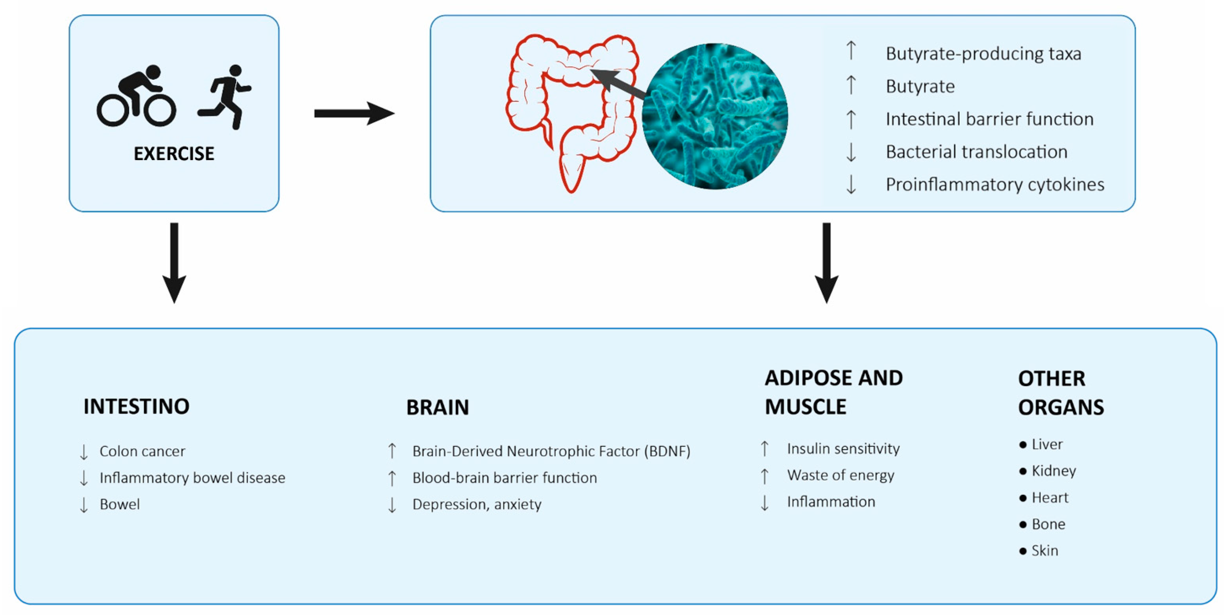 Hygiene 02 00014 g002 Hygiene 02 00014 g002