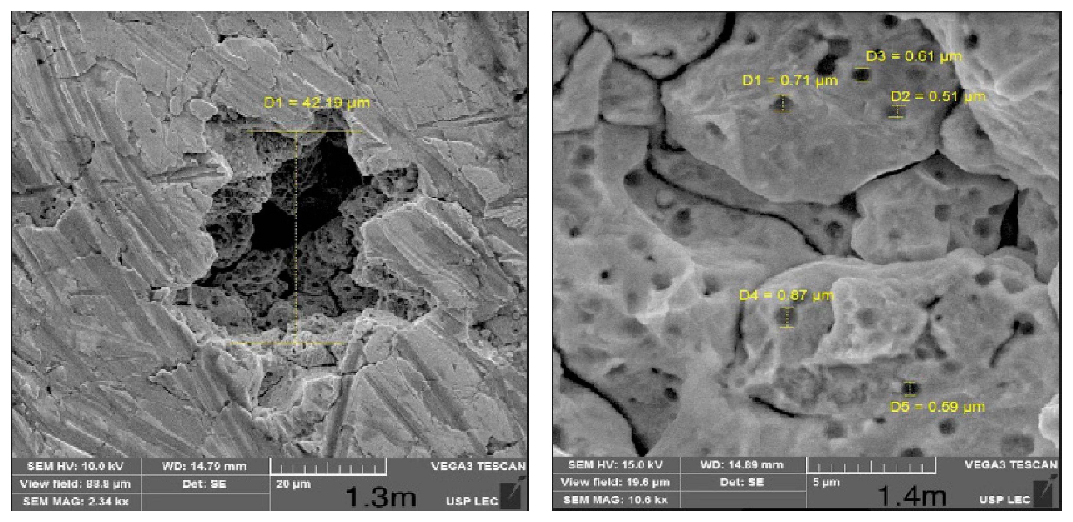 Hygiene 02 00022 g001