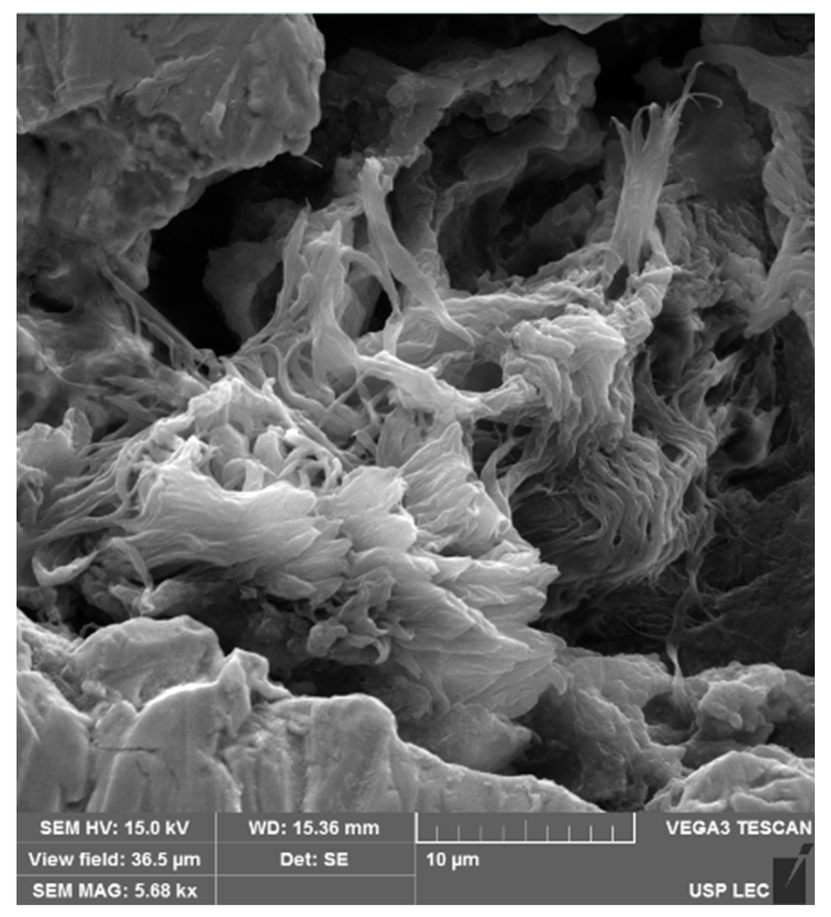 Hygiene 02 00022 g002