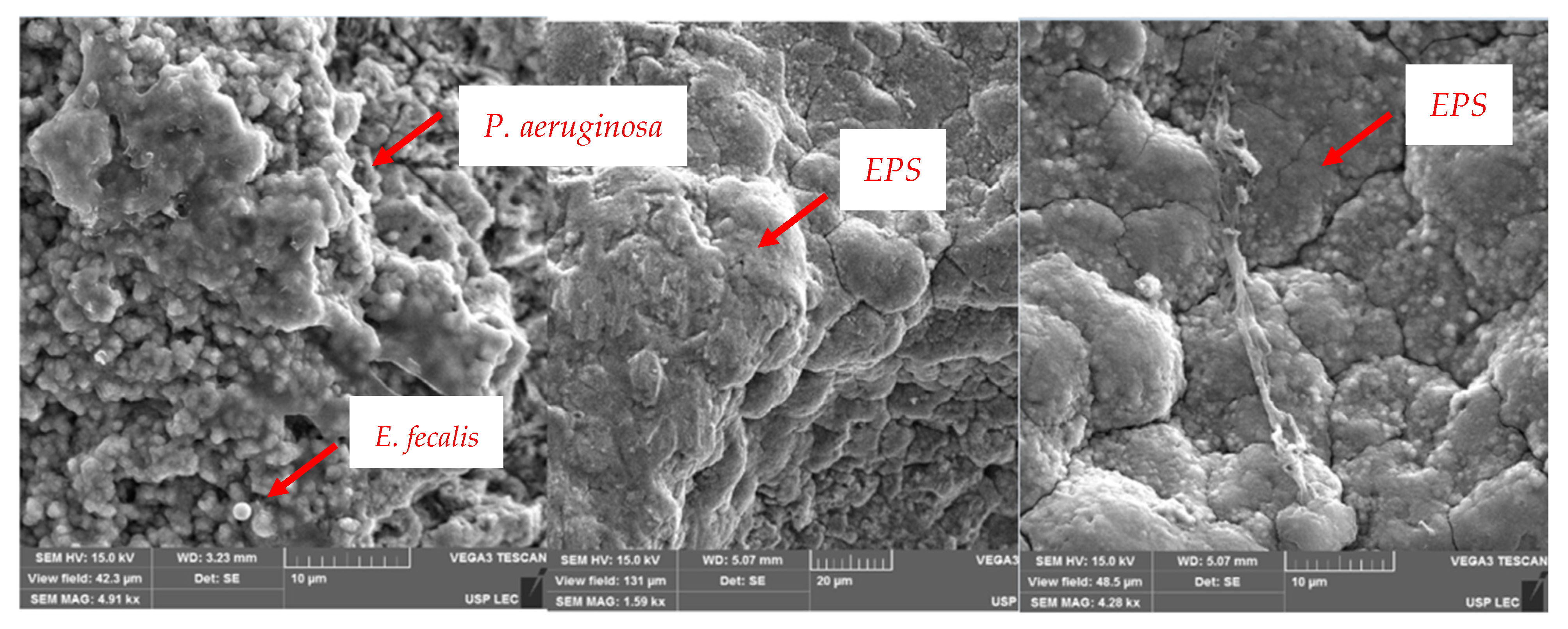 Hygiene 02 00022 g003