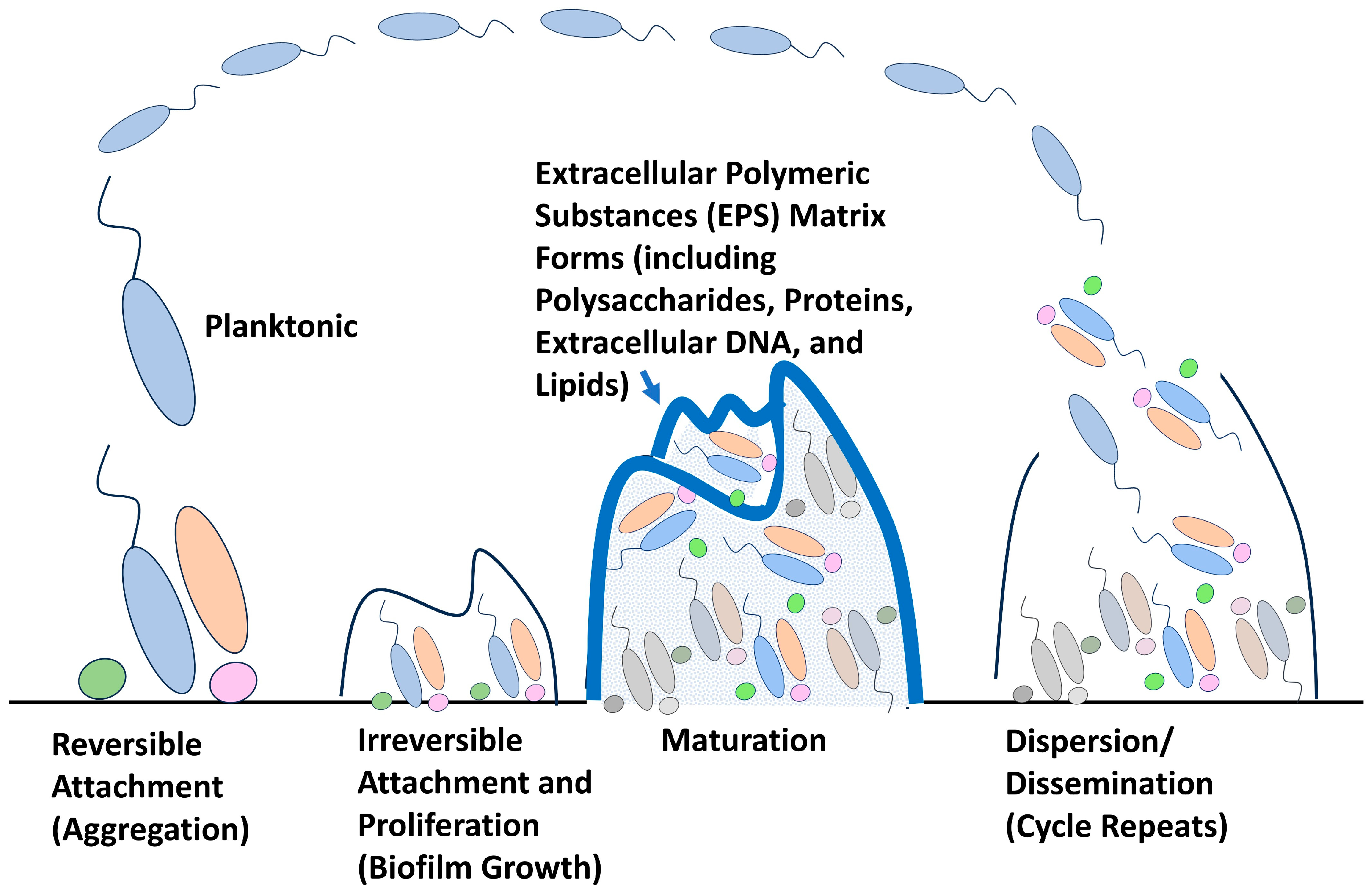 Hygiene 03 00024 g001
