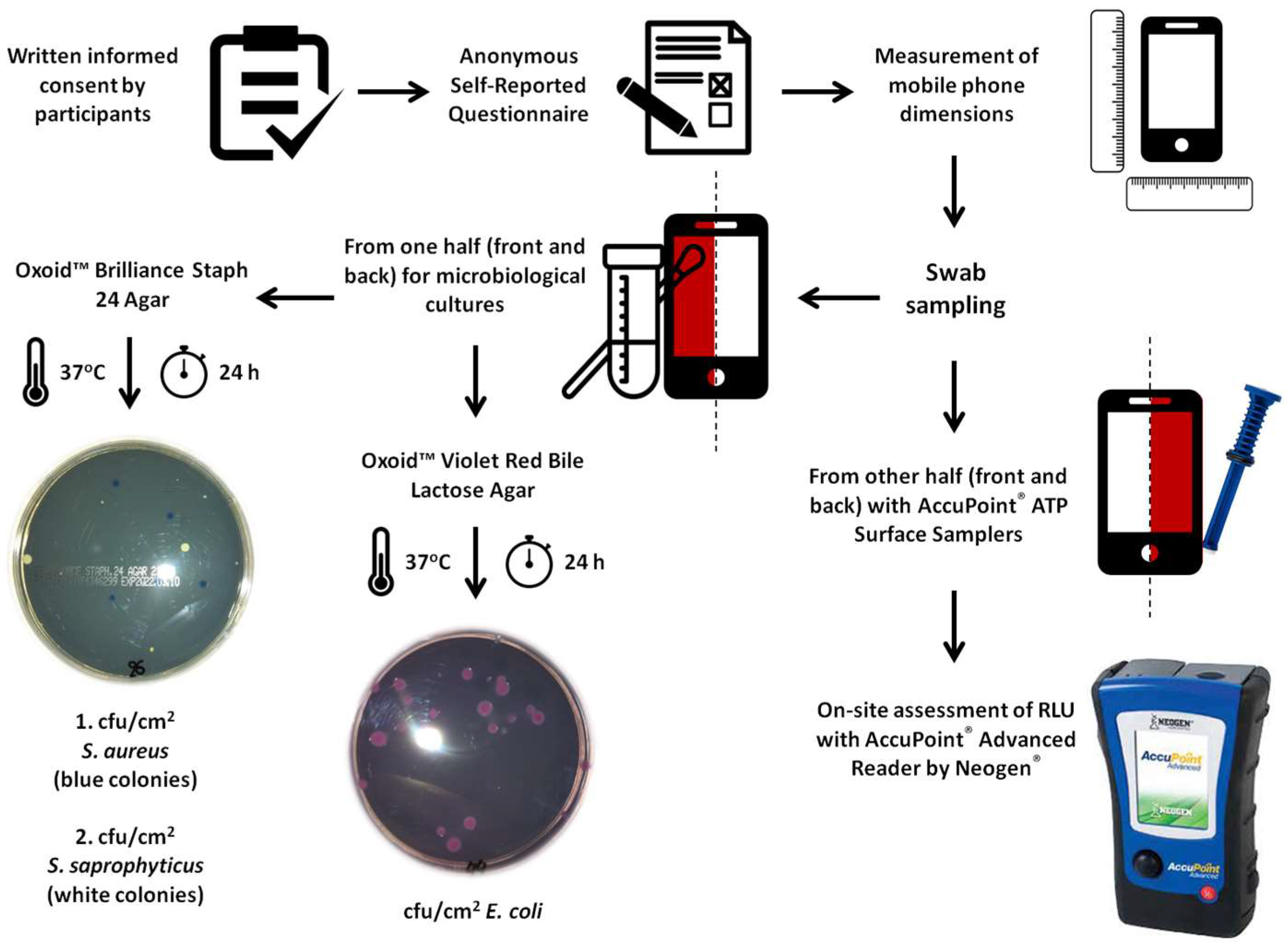 Hygiene 03 00026 g001