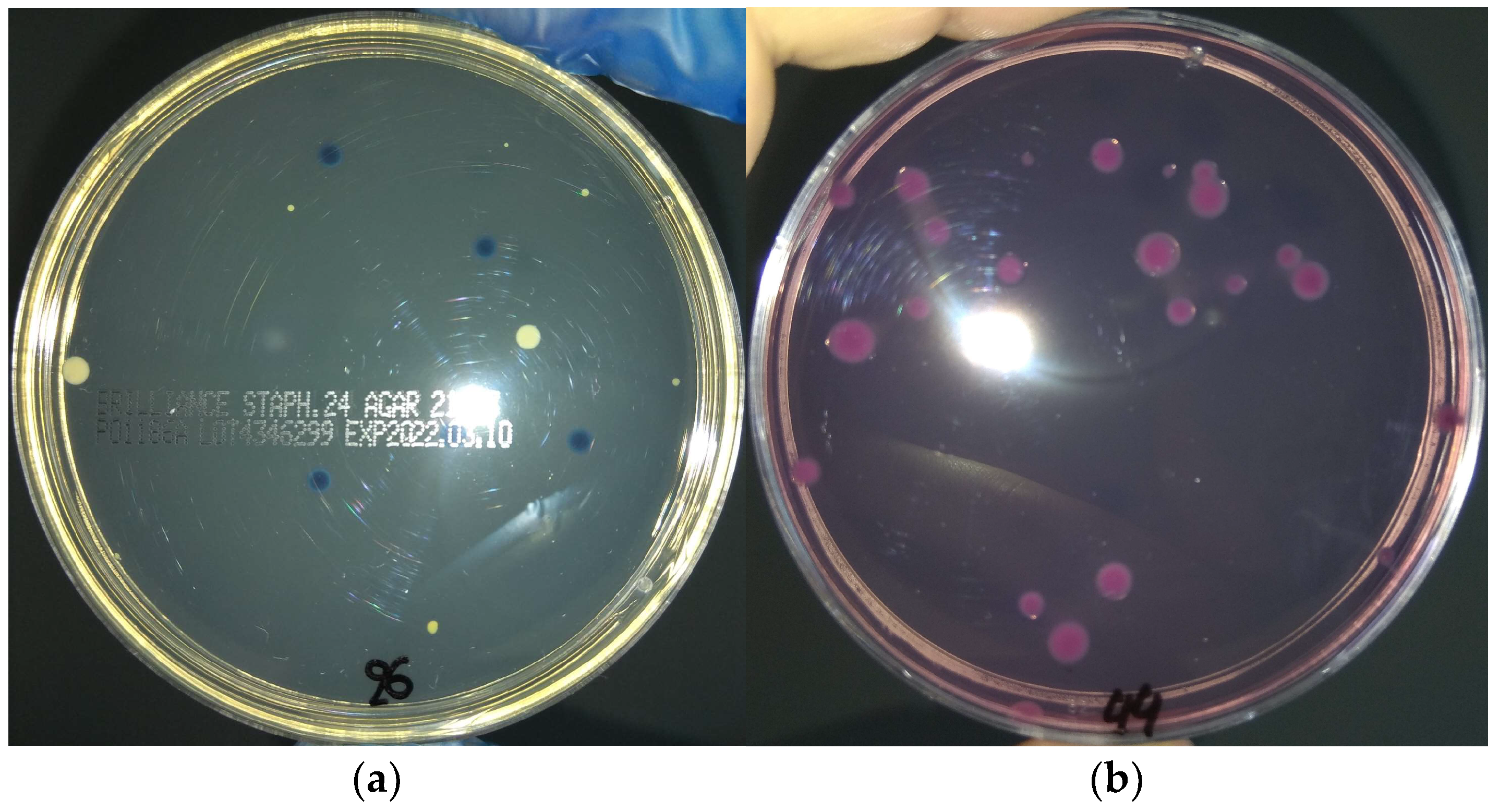 Hygiene 03 00026 g003