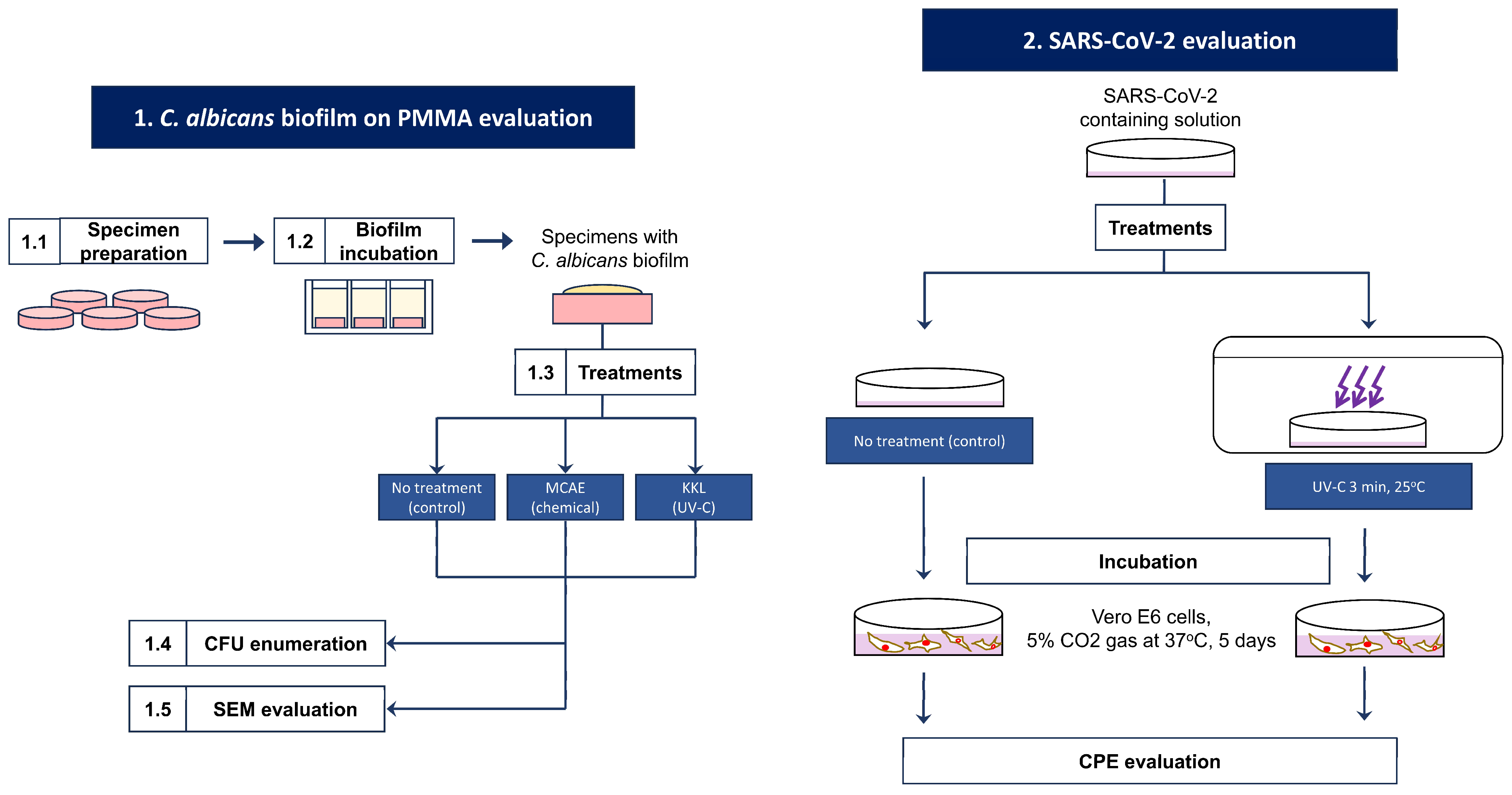 Hygiene 04 00006 g001