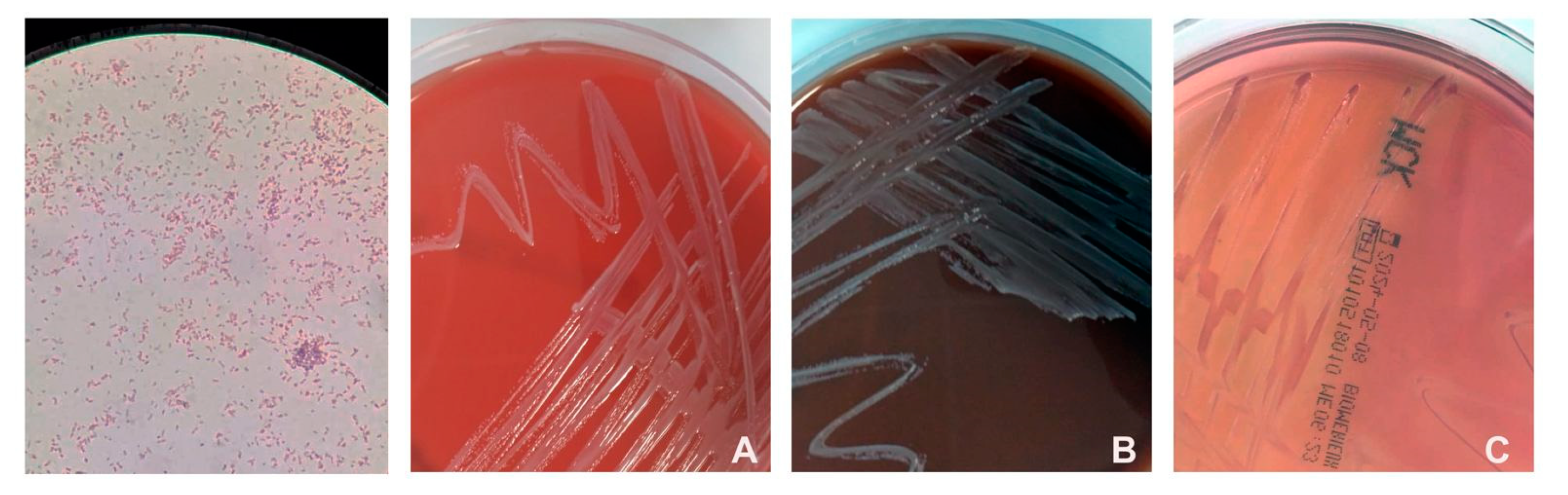 Hygiene 04 00012 g001