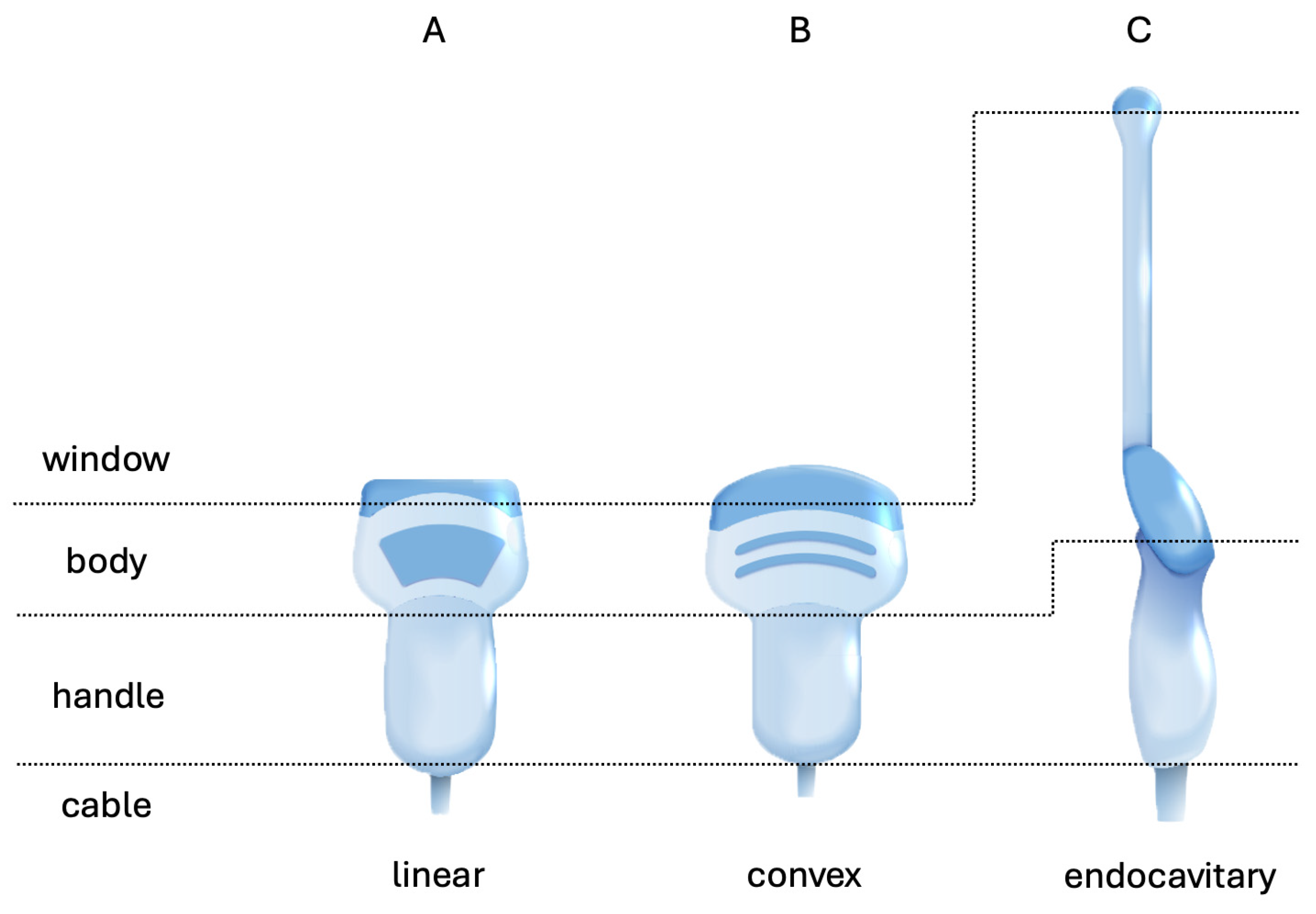 Hygiene 04 00015 g001