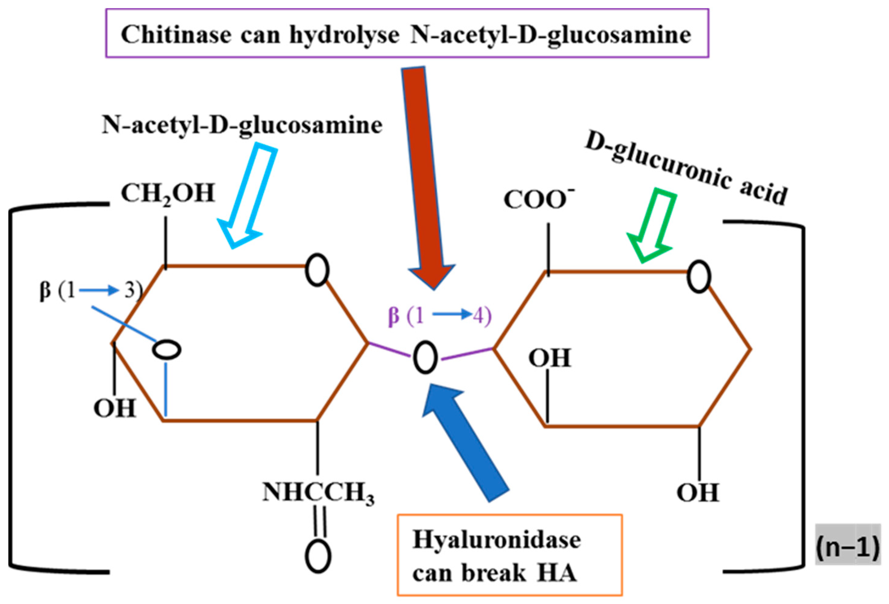 Hygiene 04 00020 g004 Hygiene 04 00020 g004