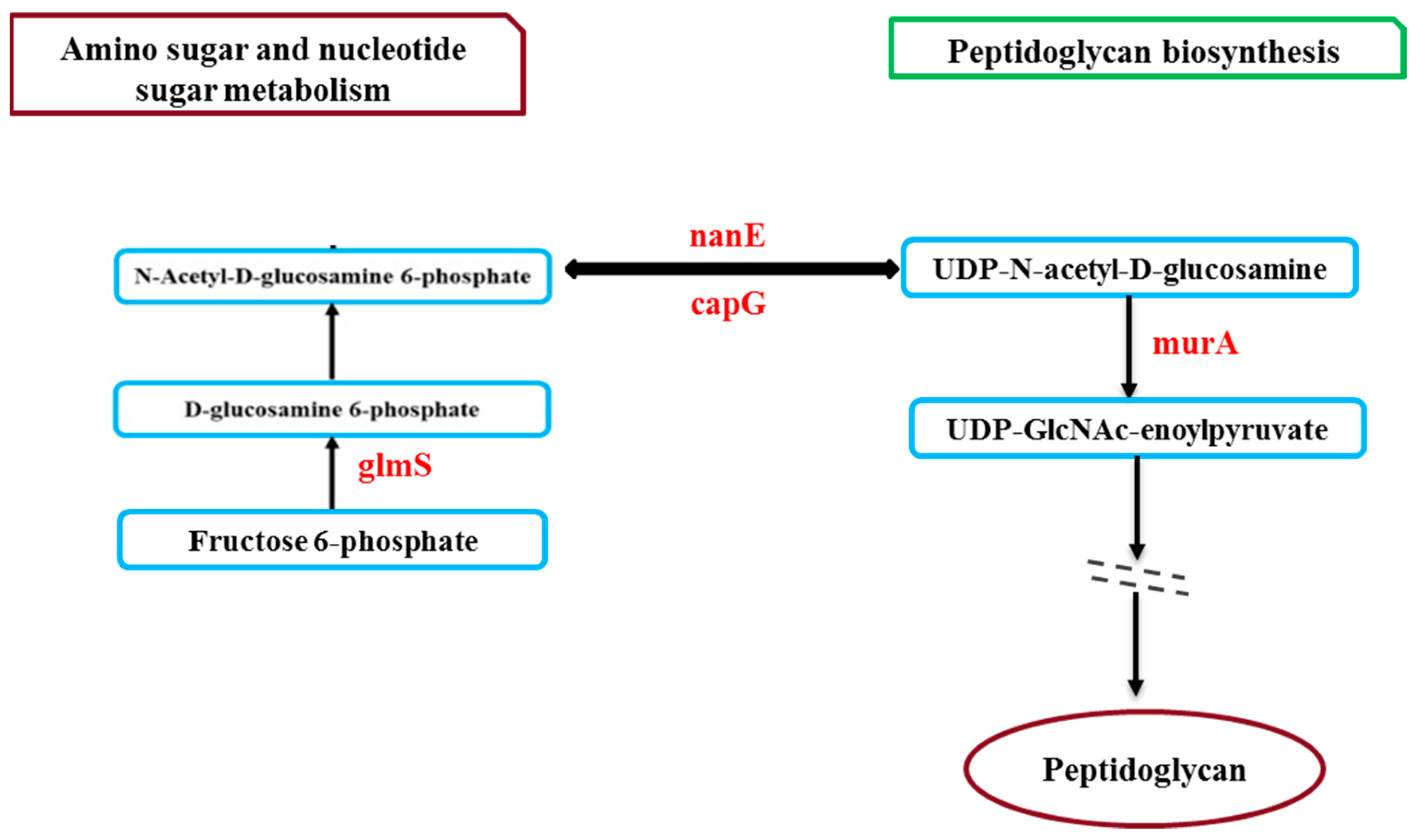 Hygiene 04 00020 g005 Hygiene 04 00020 g005