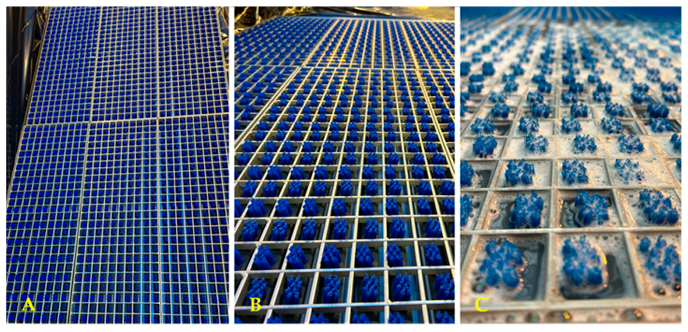 Hygiene 04 00022 g002