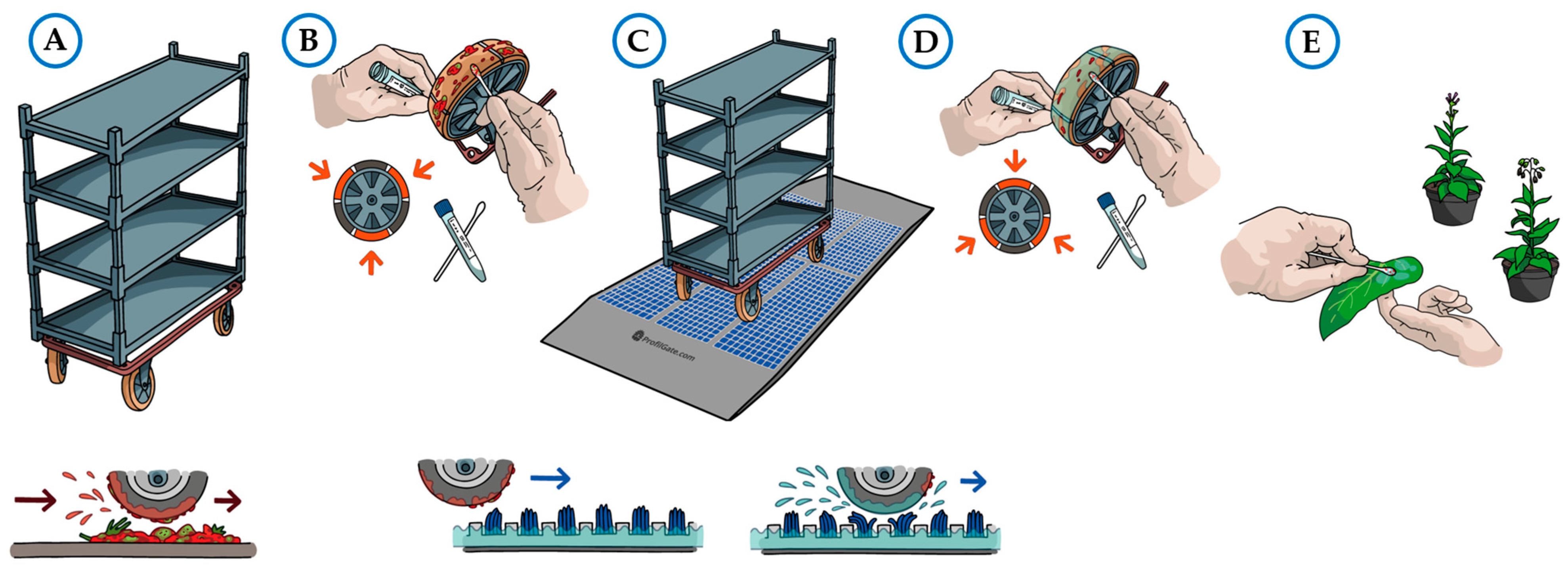Hygiene 04 00022 g003