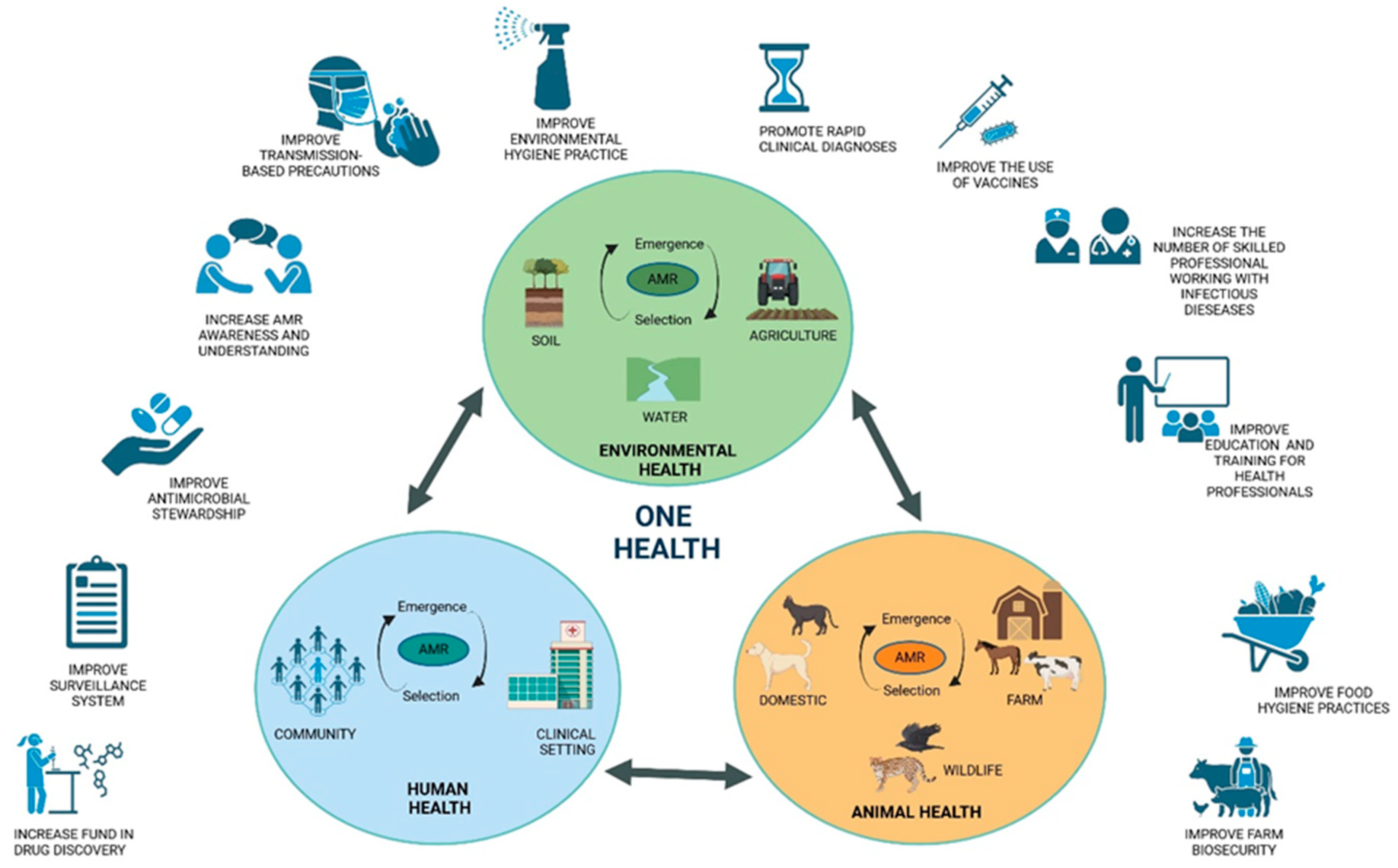 The Antimicrobial Resistance Pandemic Is Here: Implementation Challenges and the Need for the One Health Approach
