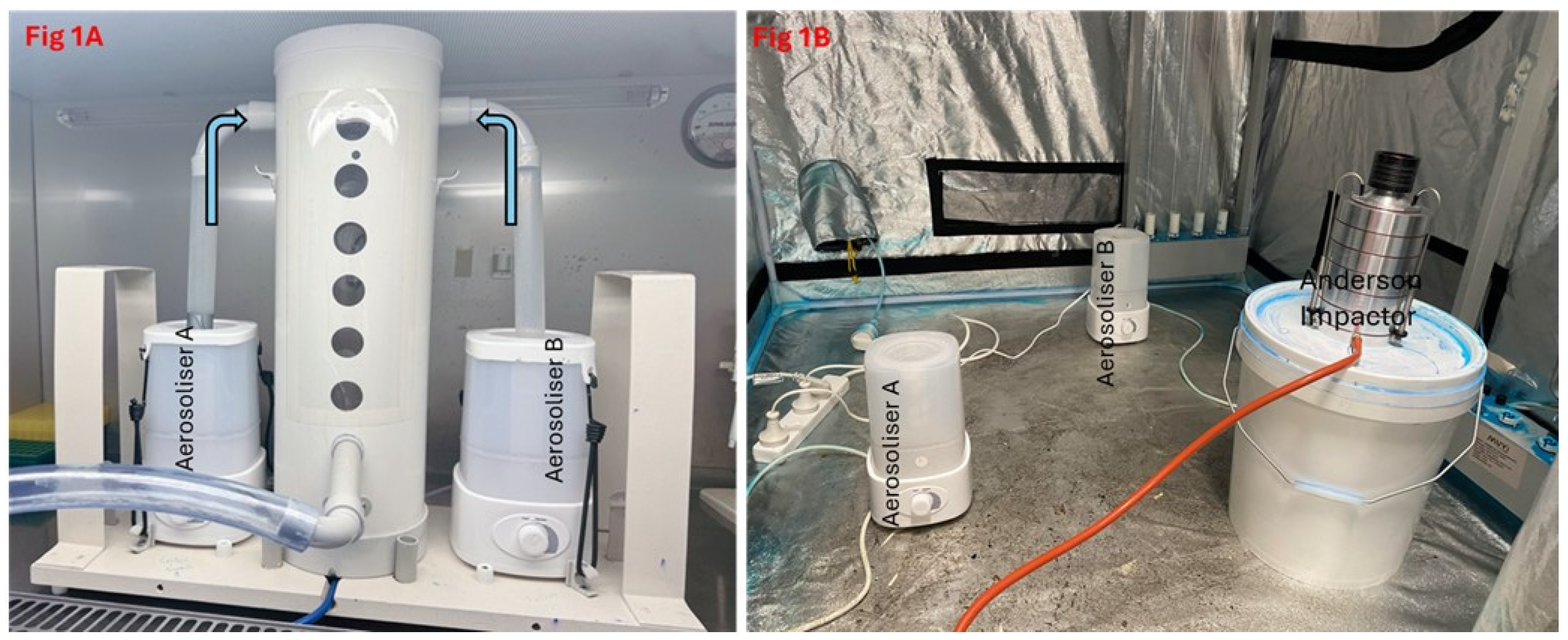 Hygiene 05 00015 g001