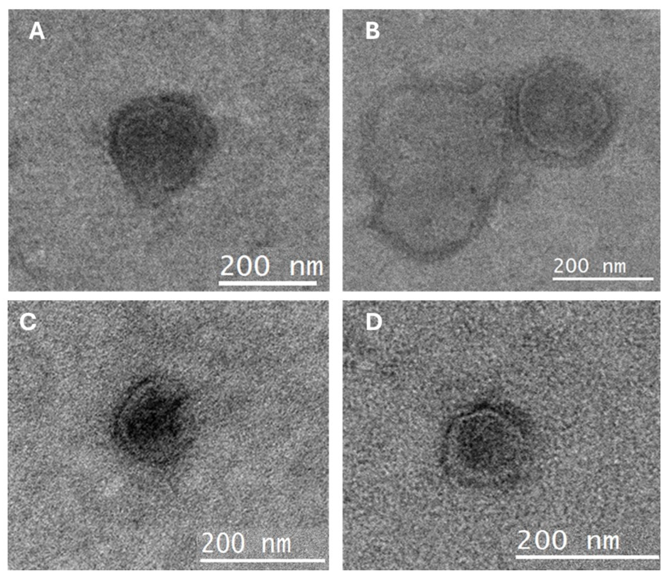 Hygiene 05 00015 g003