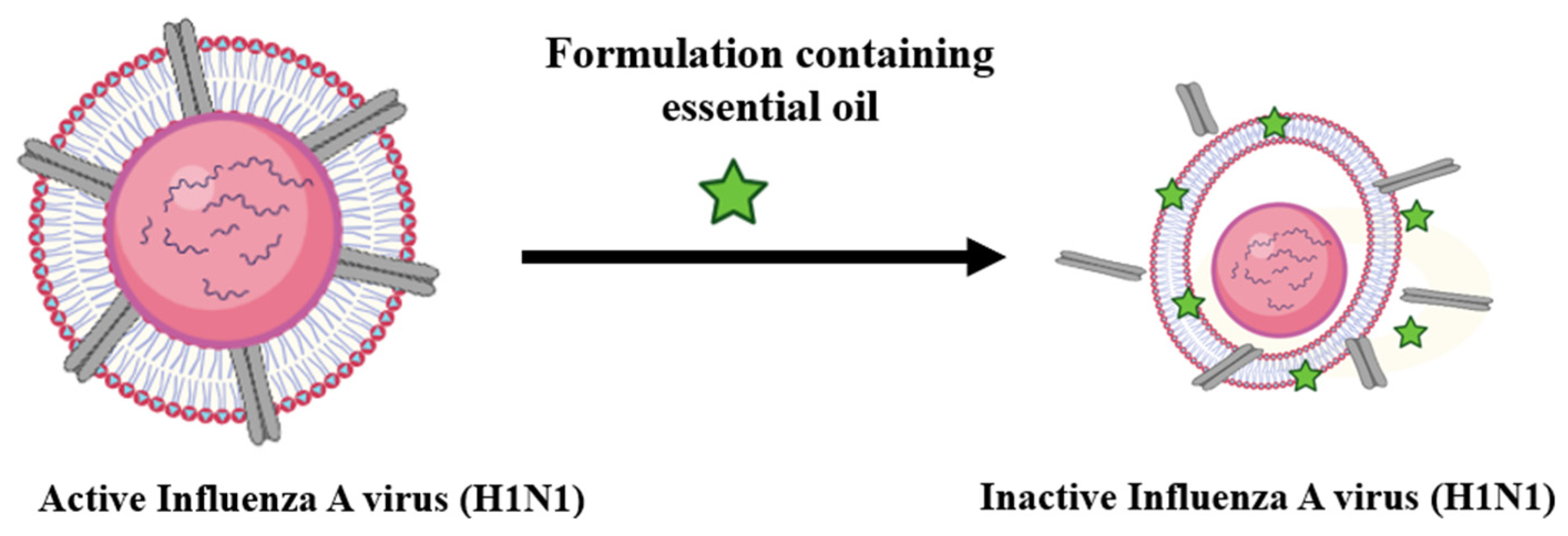 Hygiene 05 00015 g004