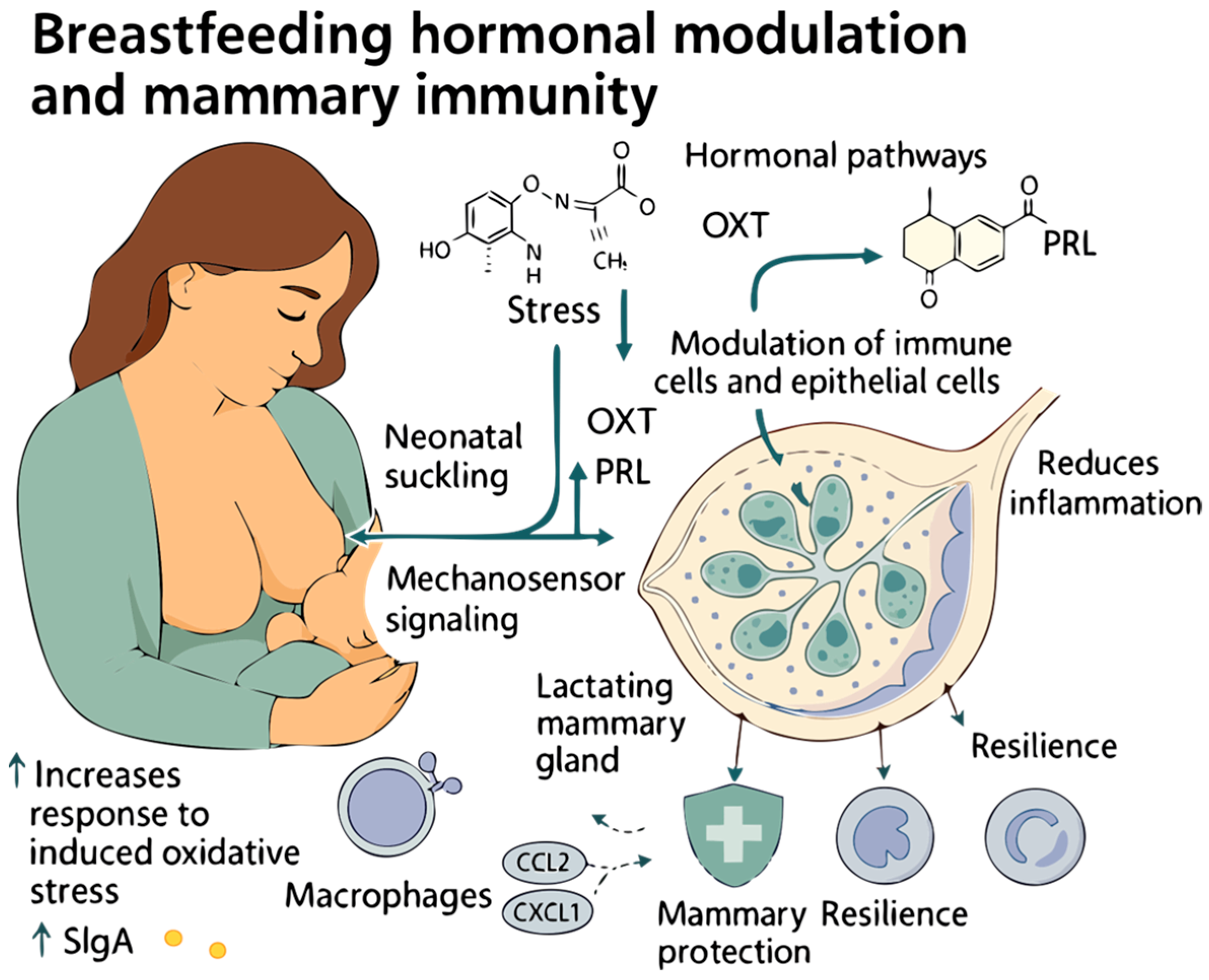 Hygiene 05 00046 g001
