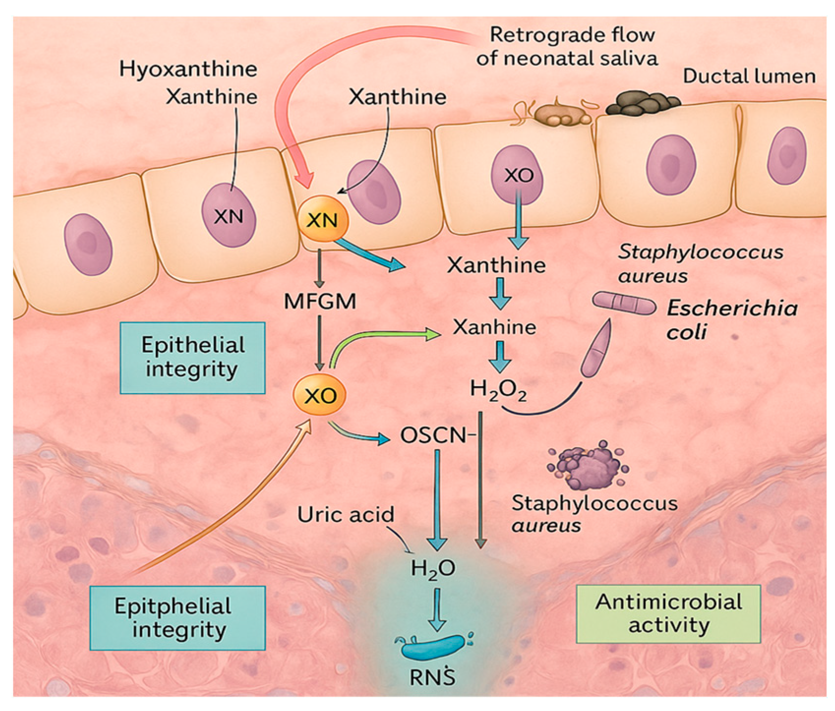 Hygiene 05 00046 g002