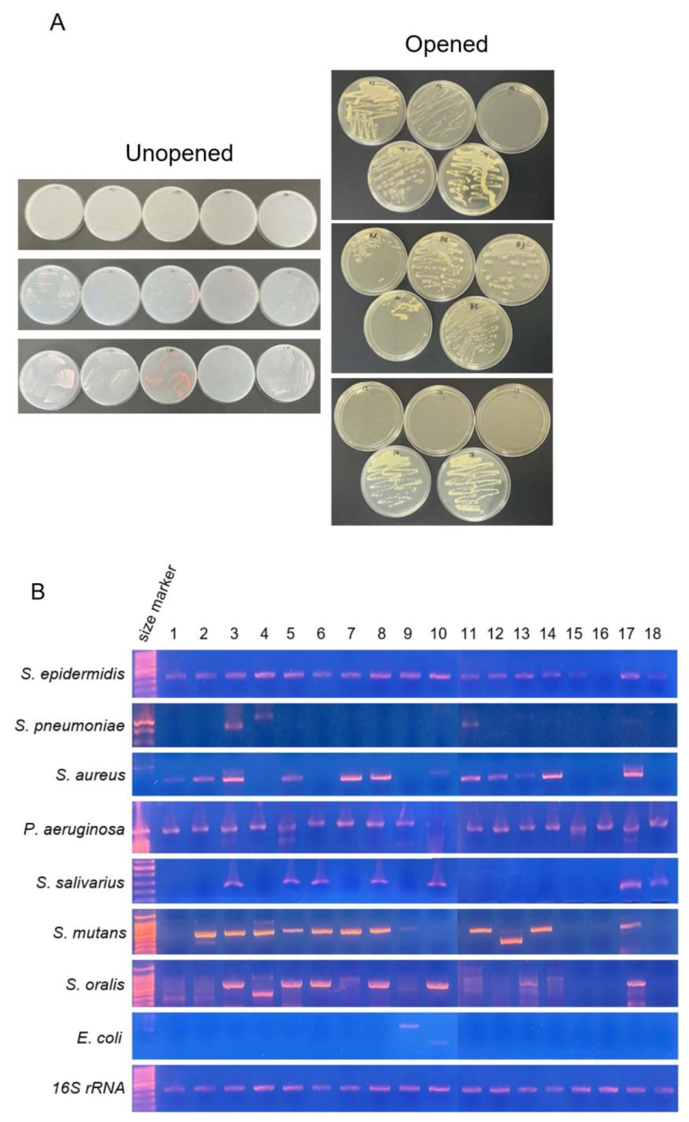 Hygiene 05 00047 g001 Hygiene 05 00047 g001