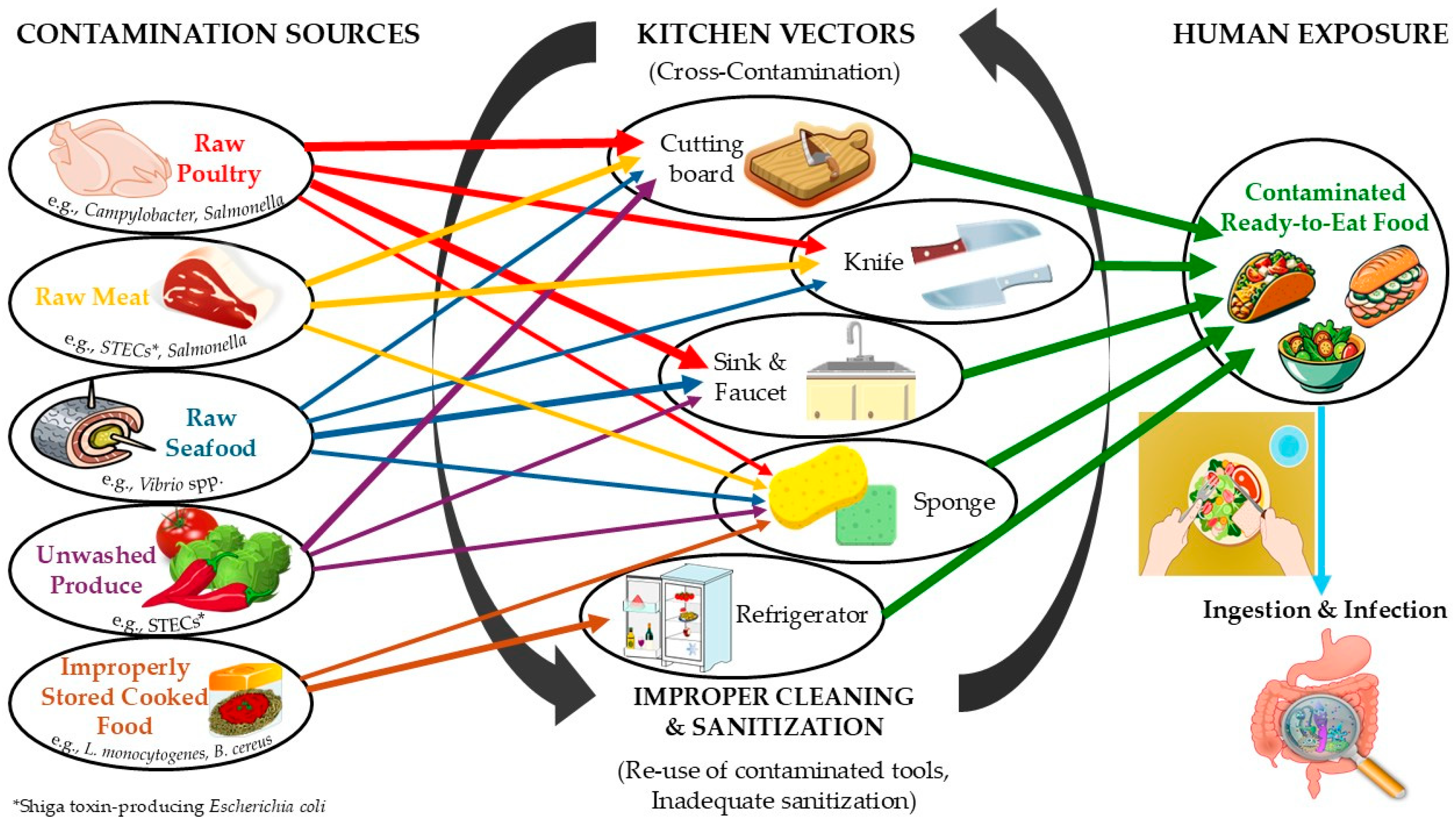 Hygiene 05 00060 g001 Hygiene 05 00060 g001
