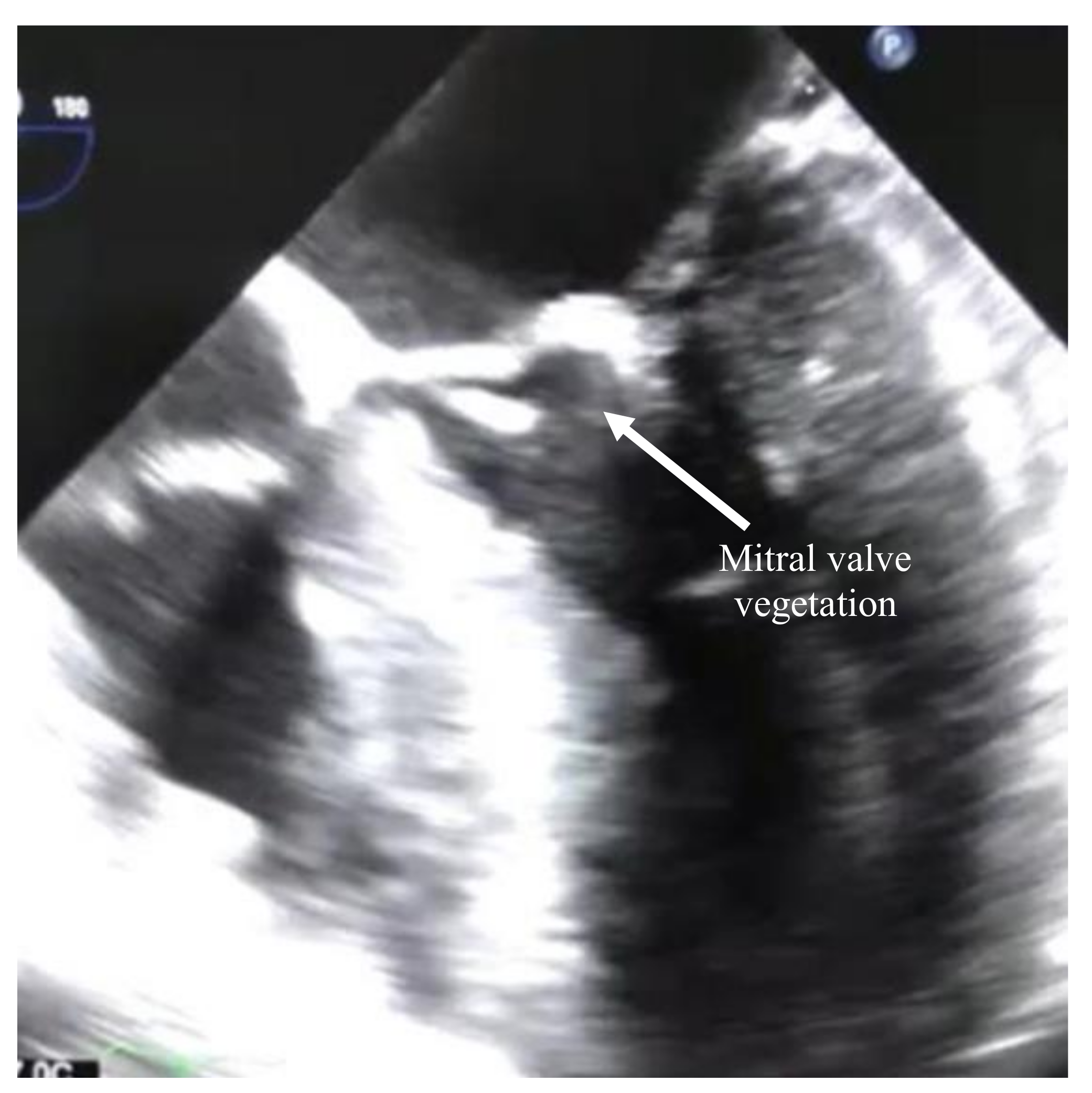 Idr 12 00020 g001 Idr 12 00020 g001